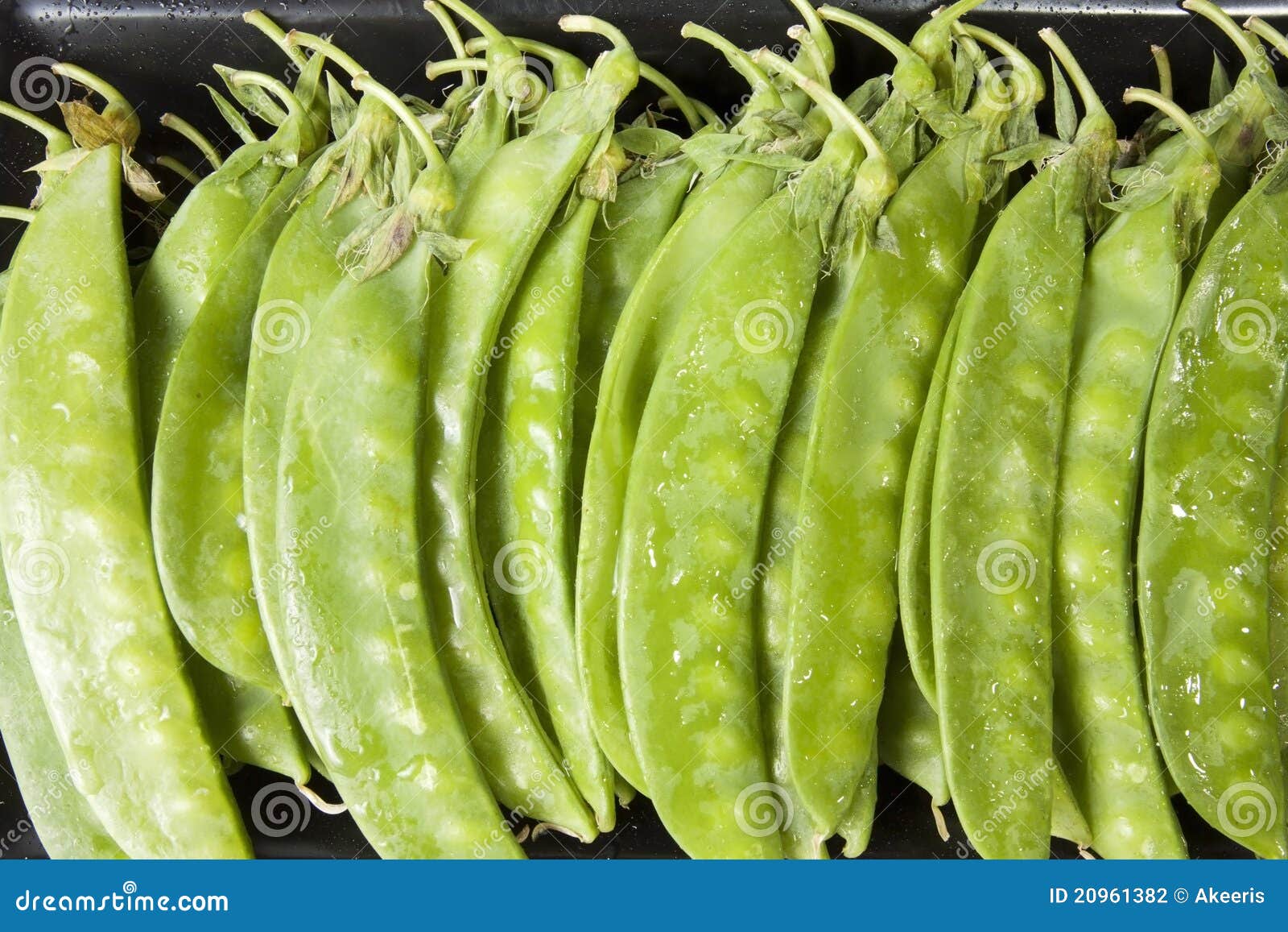 Baby sweet pea stock photo. Image of dinner, healthy 20961382