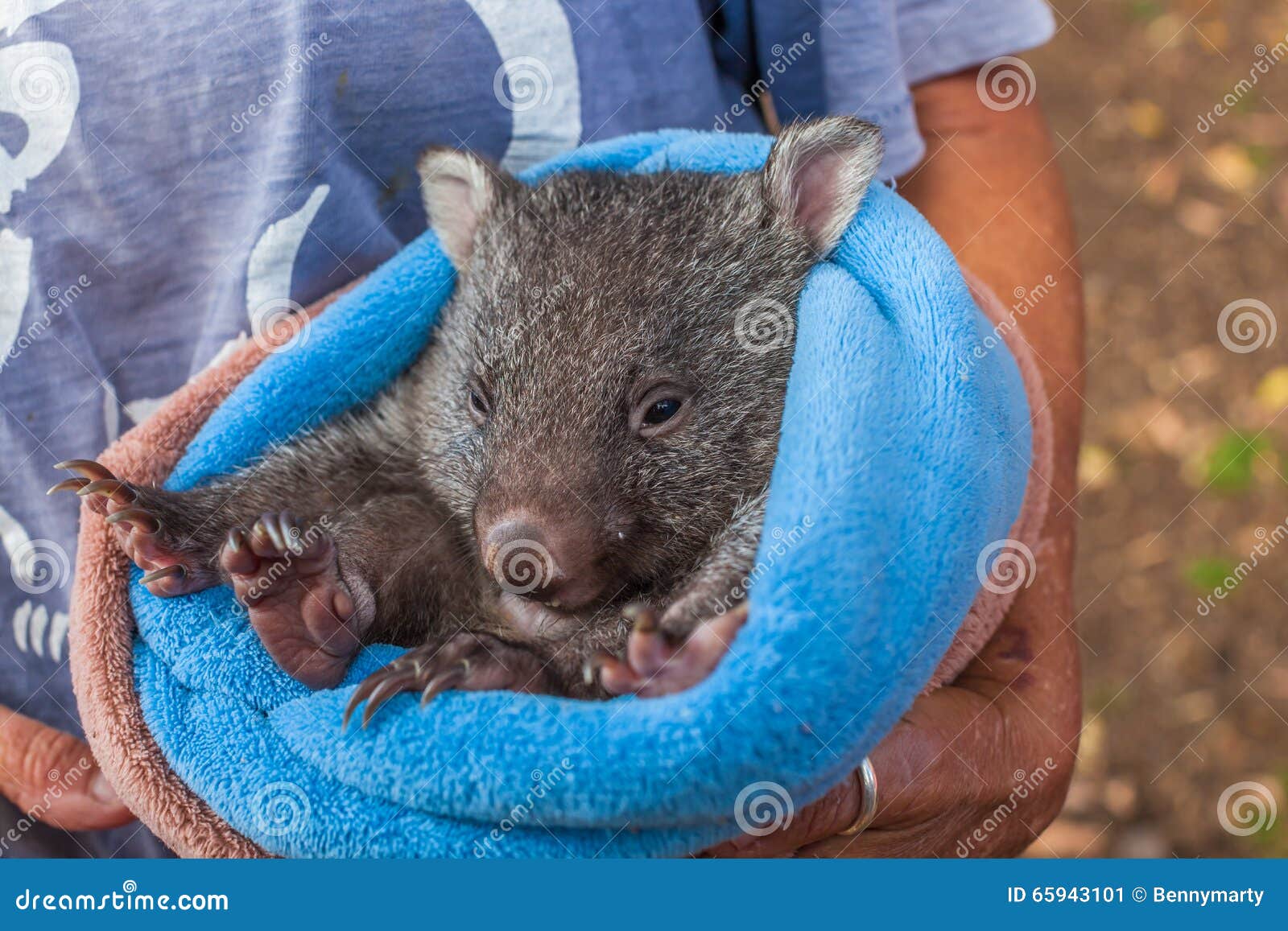 wombat baby stroller