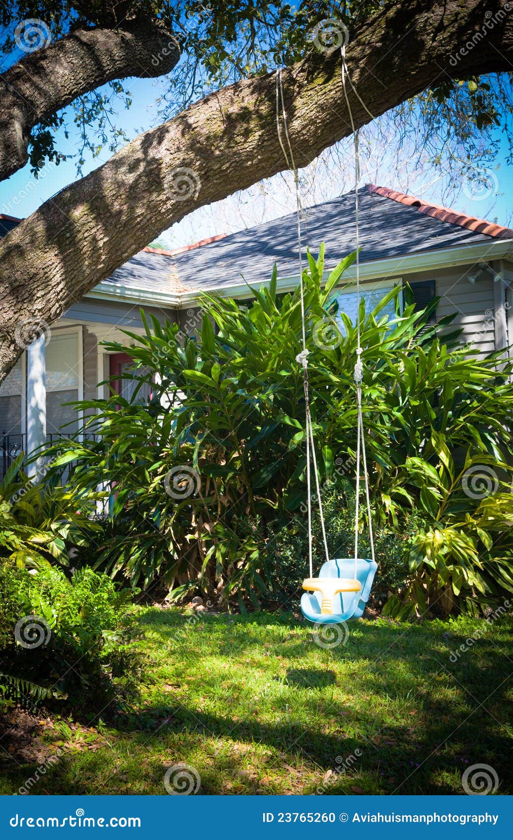 baby tree swing