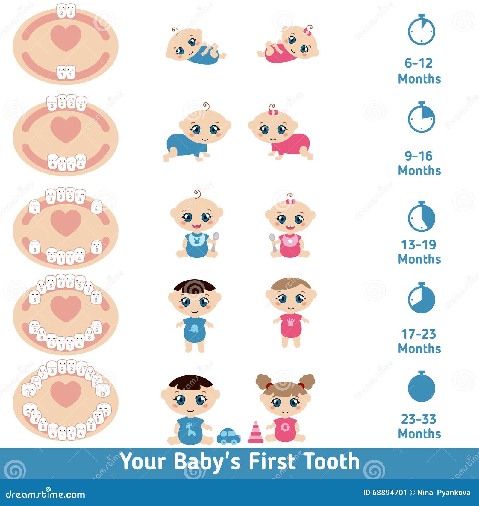 Orajel Teething Chart