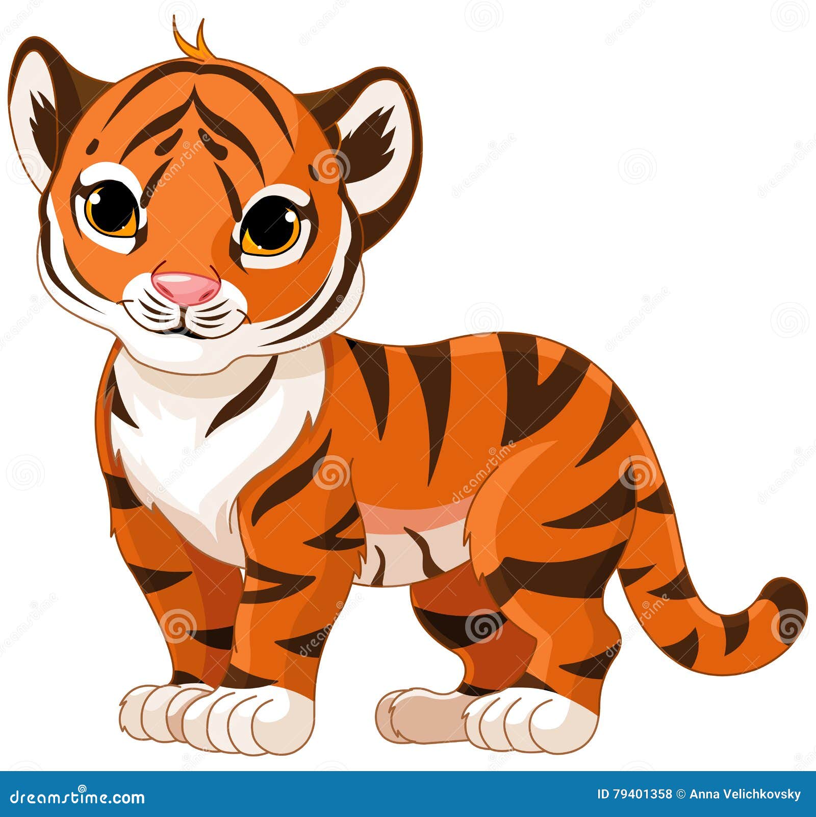 Baby Tiger stock vector. Illustration of mammal, drawing ...