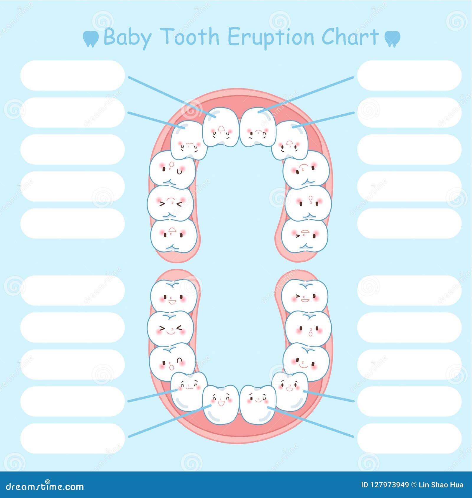 Primary Teeth Eruption Chart