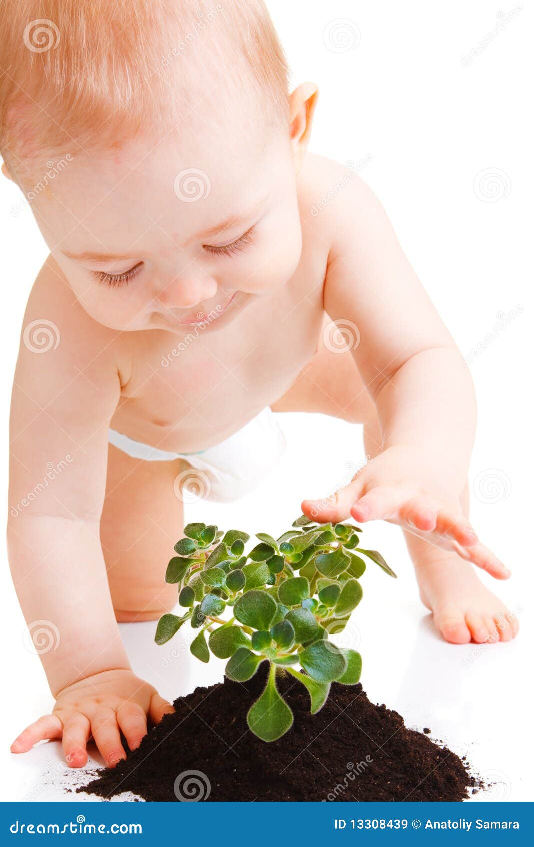 Baby touching plant stock image. Image of little, human - 13308439