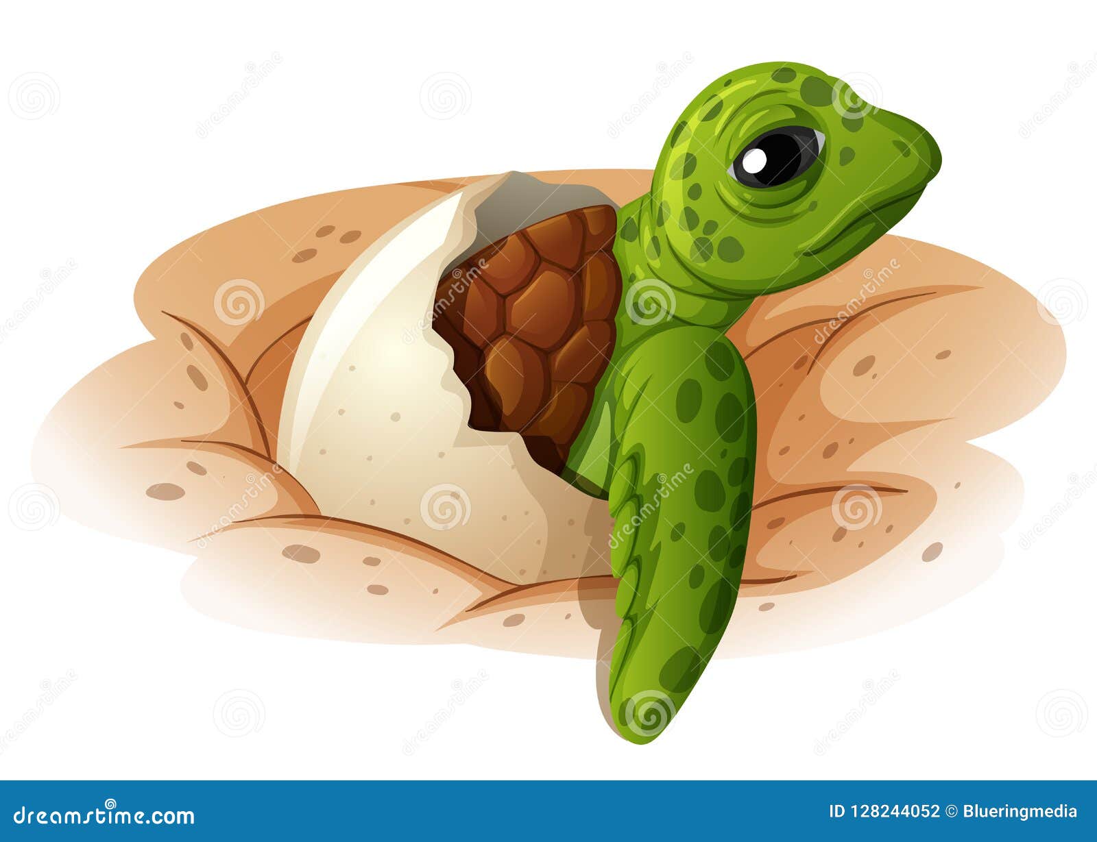 Baby Turtle Coming Out Of Shell Stock Vector Illustration Of Ocean Laying 128244052