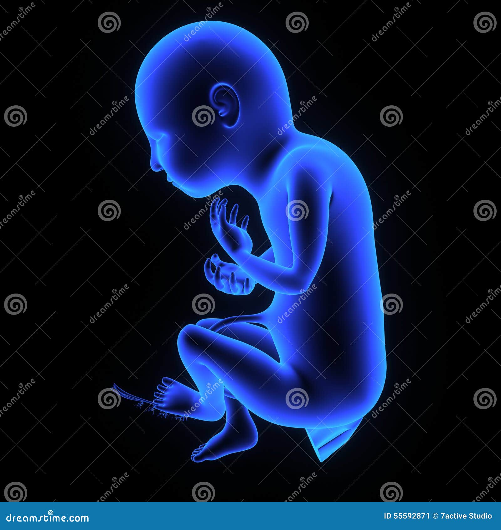 free clipart baby in womb - photo #23