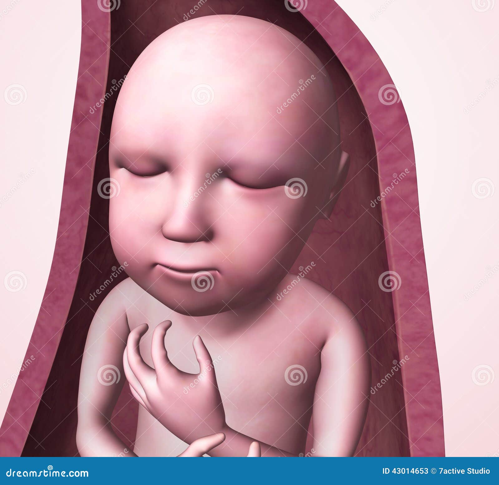 free clipart baby in womb - photo #49