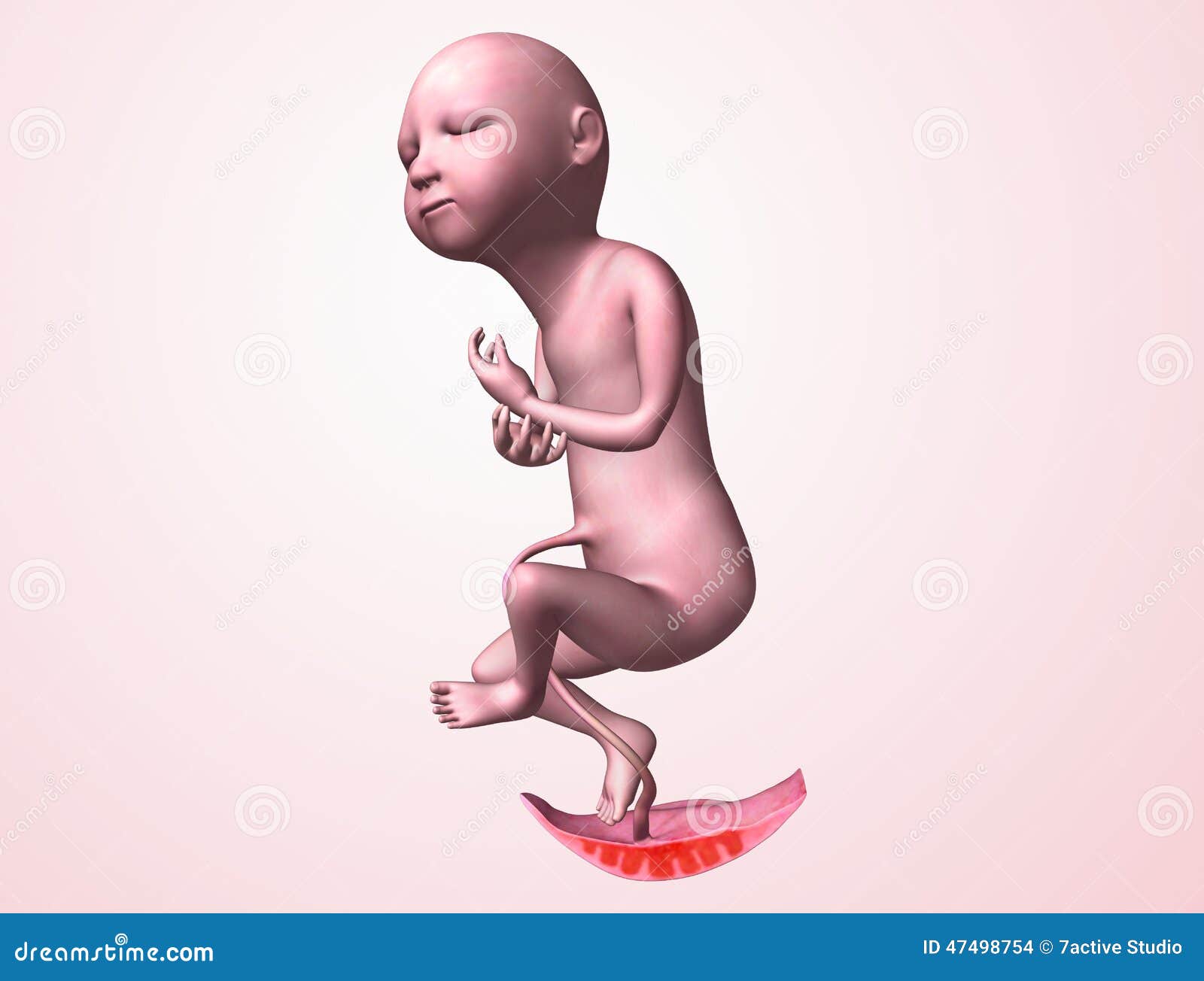 free clipart baby in womb - photo #20