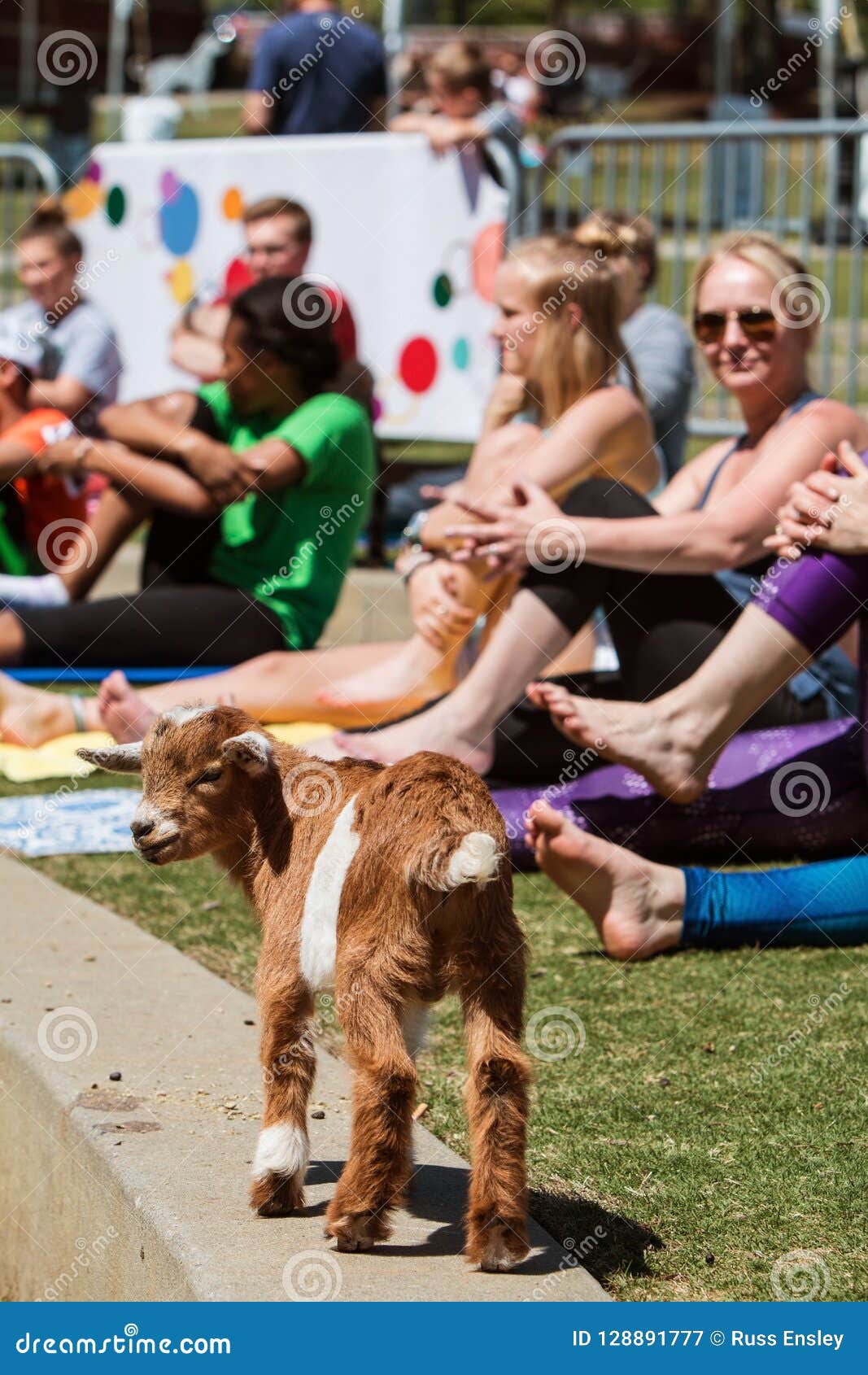 Baby-Ziegen-Spreizen Unter Den Frauen, Die an Der Yoga-Klasse Ausdehnen  Redaktionelles Stockfotografie - Bild von kategorie, ausgleichen: 128891777