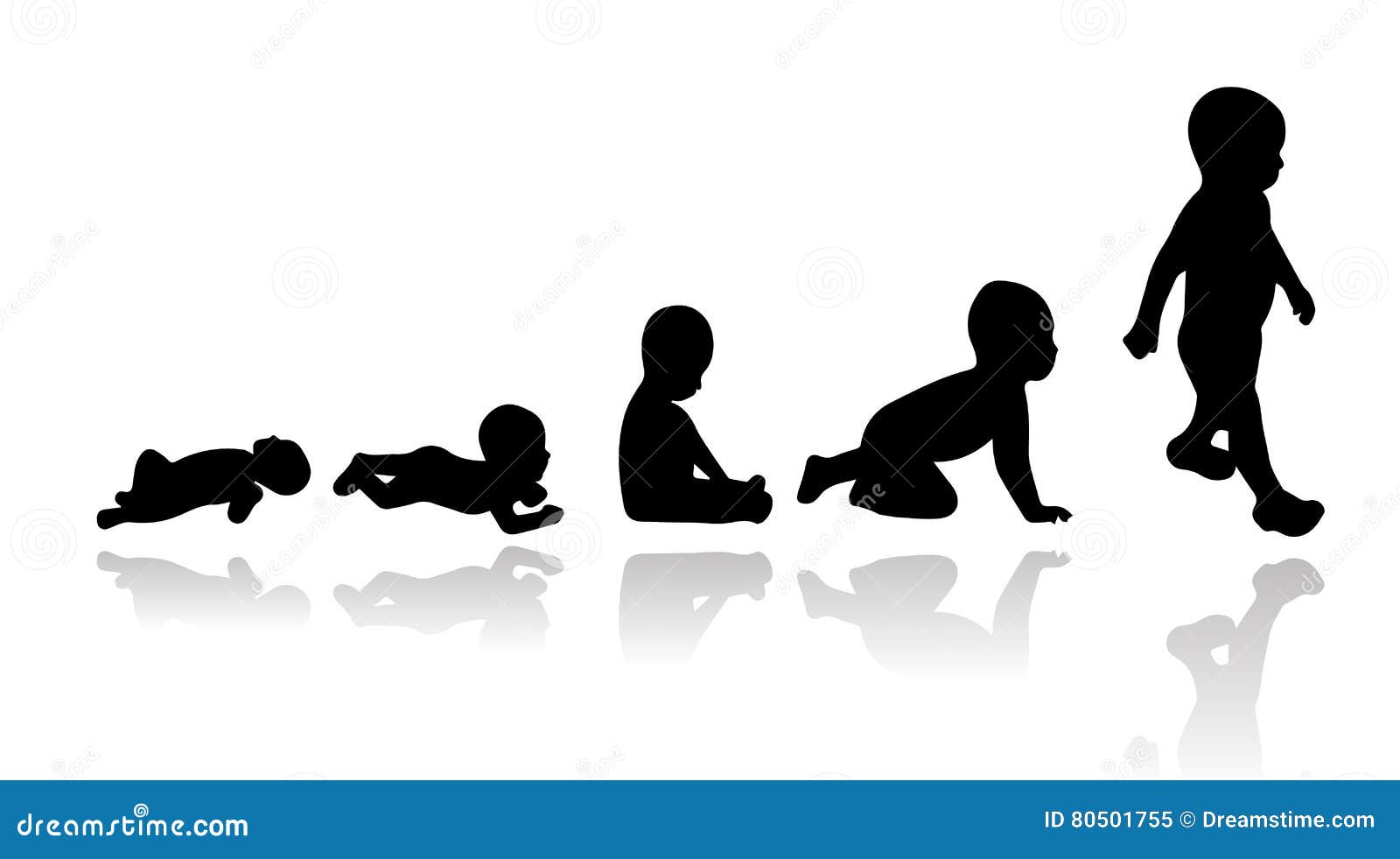 Babyevolutie Vector Illustratie Stock Illustratie - Illustration of ...