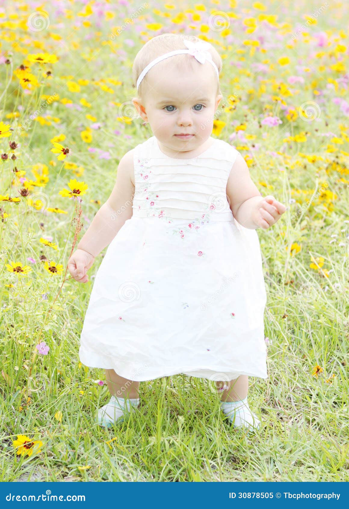 Babymeisje die in bloemen lopen. Het meisje die van de babypeuter door wildflowers in de lente lopen