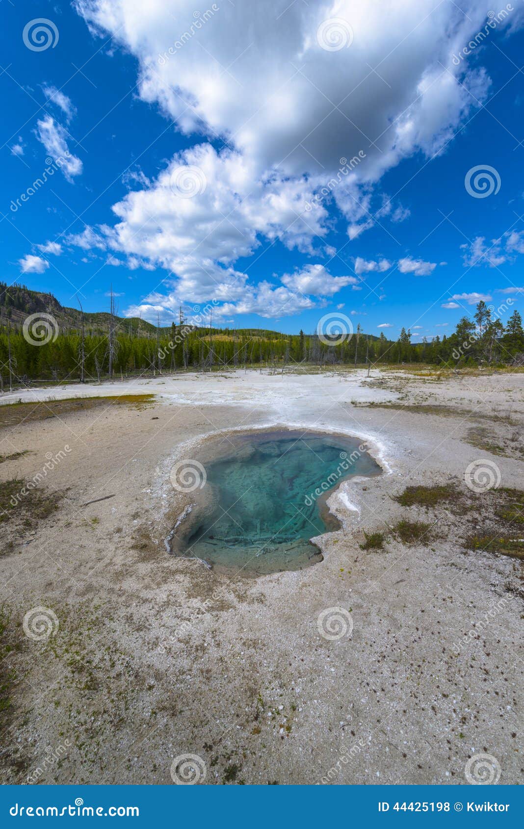 Parque nacional de Yellowstone da bacia do geyser do biscoito