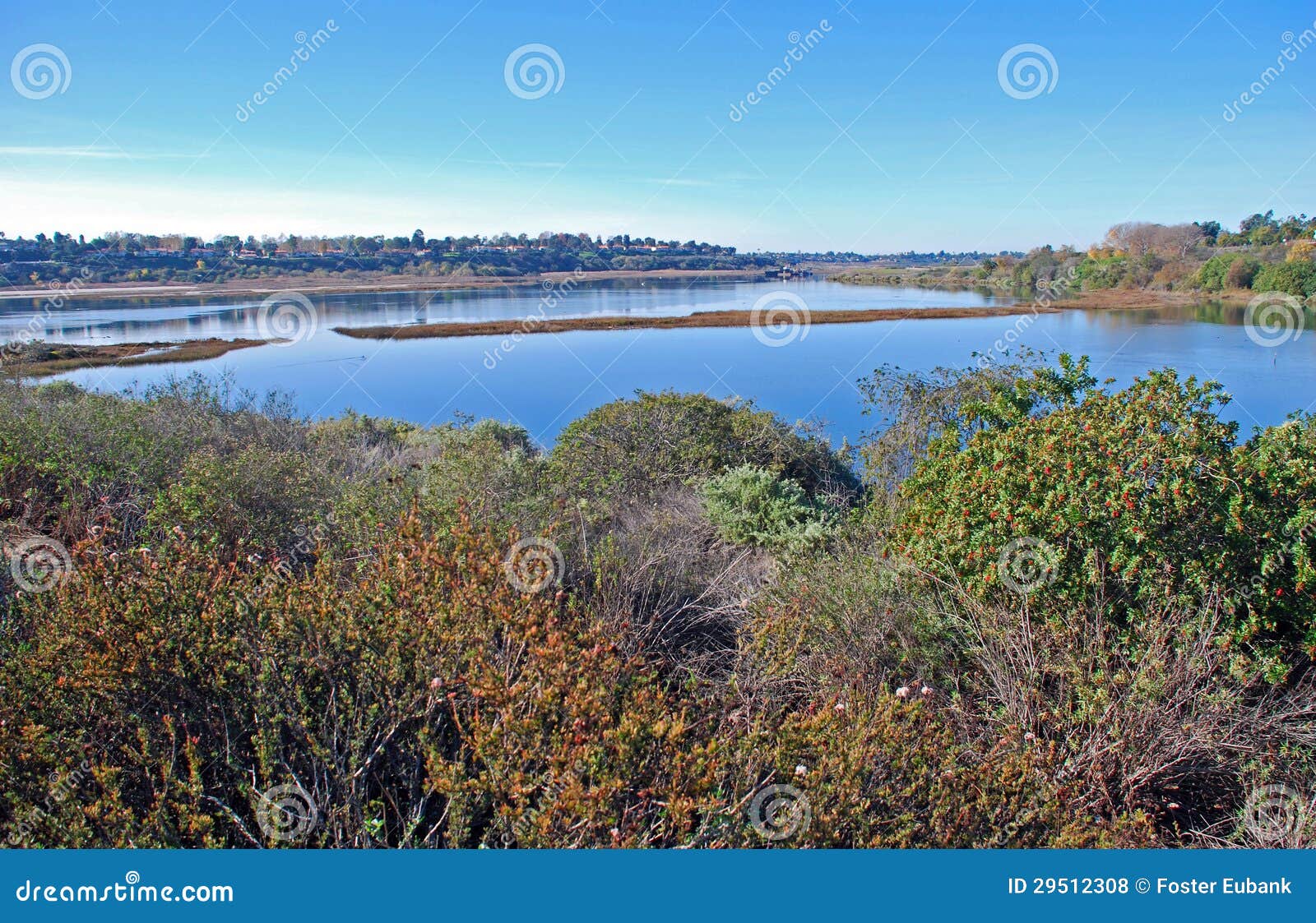 back bay wetland/estuary at newport beach california.