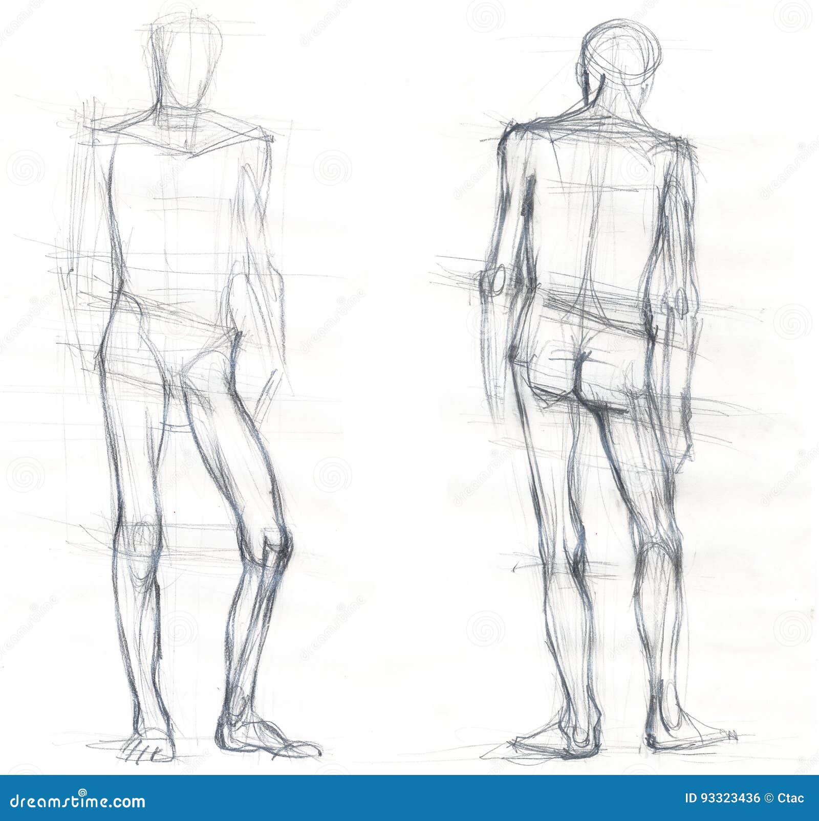 images Back Of A Man Sketch dreamstime com