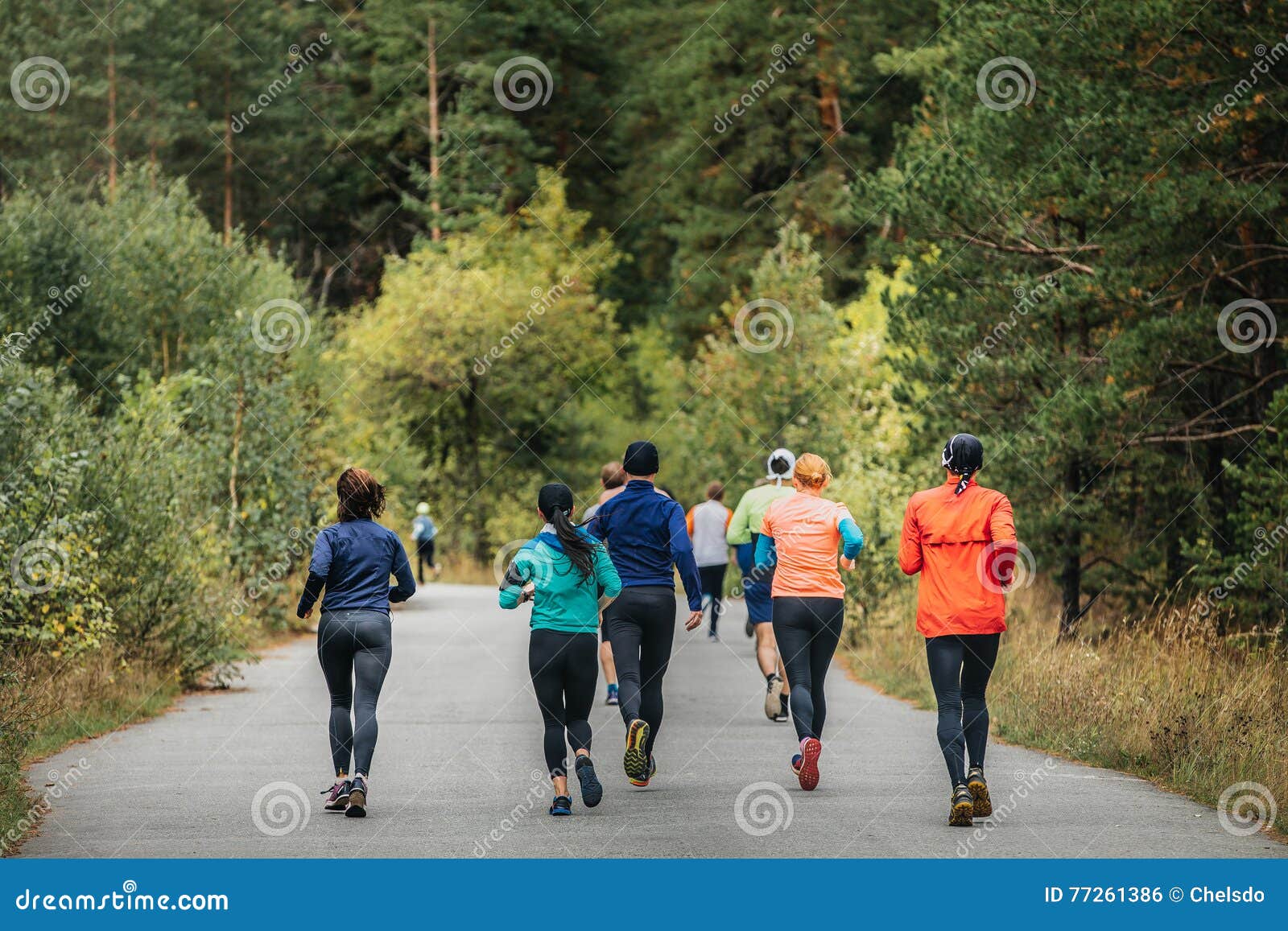 Back Group Runners Running in Autumn Park Editorial Photo Image of
