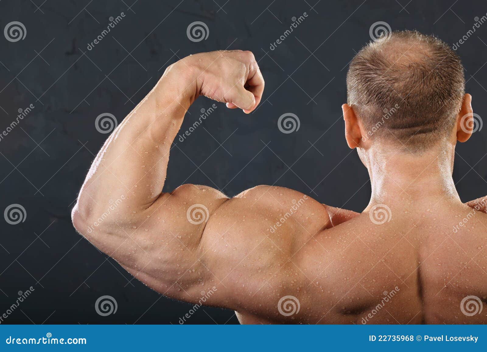 Back, Neck and Hand Muscles of Bodybuilder Stock Photo Image of