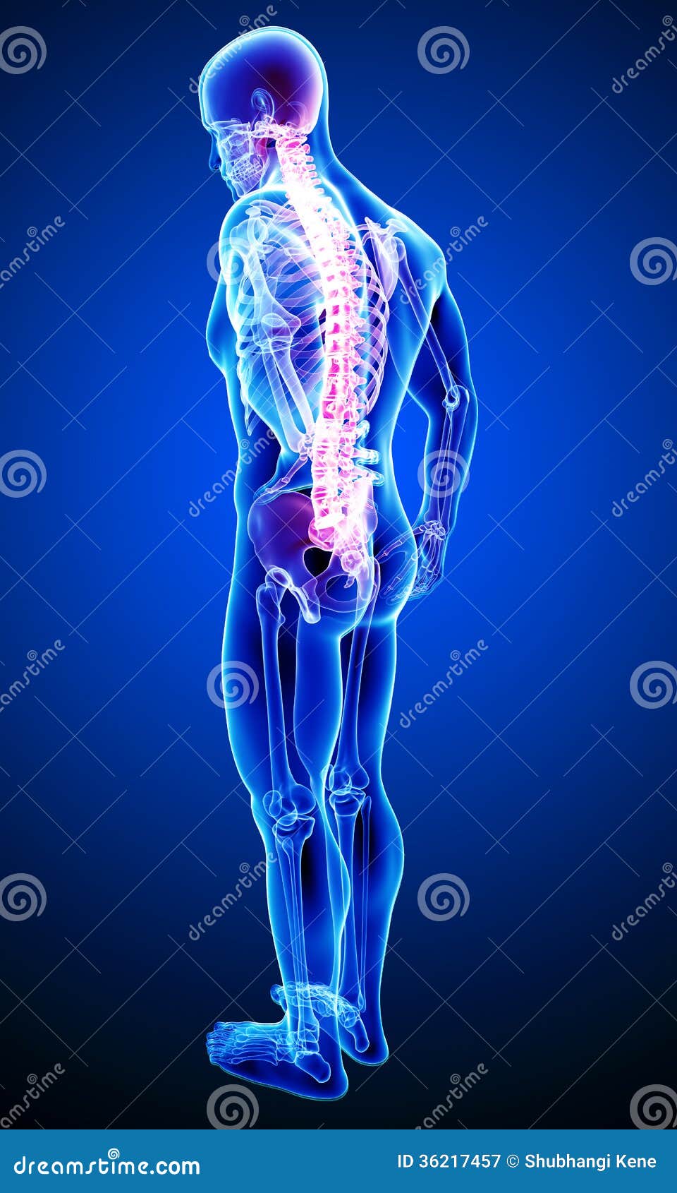 Back Pain With Full Body Royalty Free Stock Photography - Image: 36217457