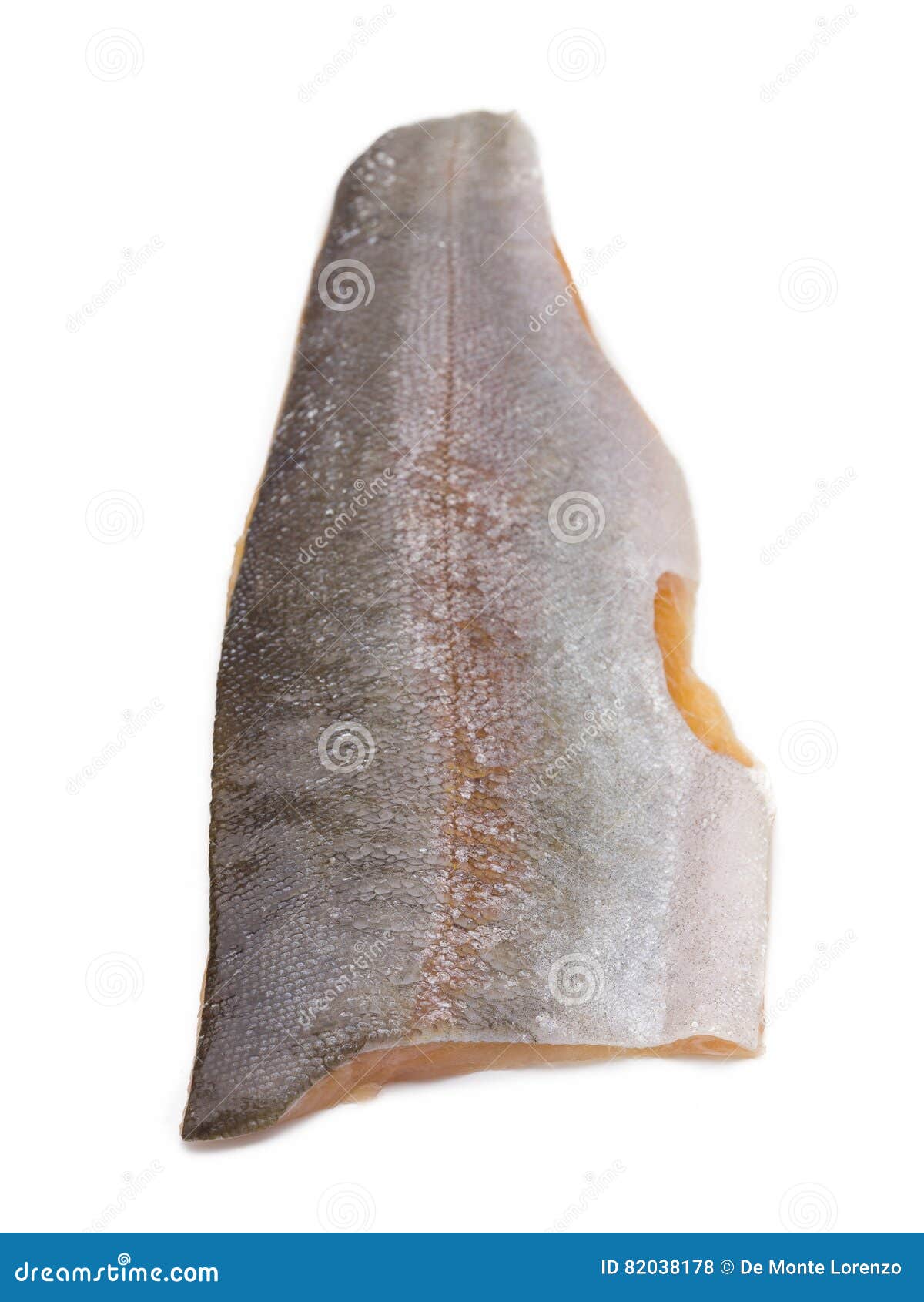 Back of a Rainbow Trout Fillet Stock Photo Image of fresh, salmon