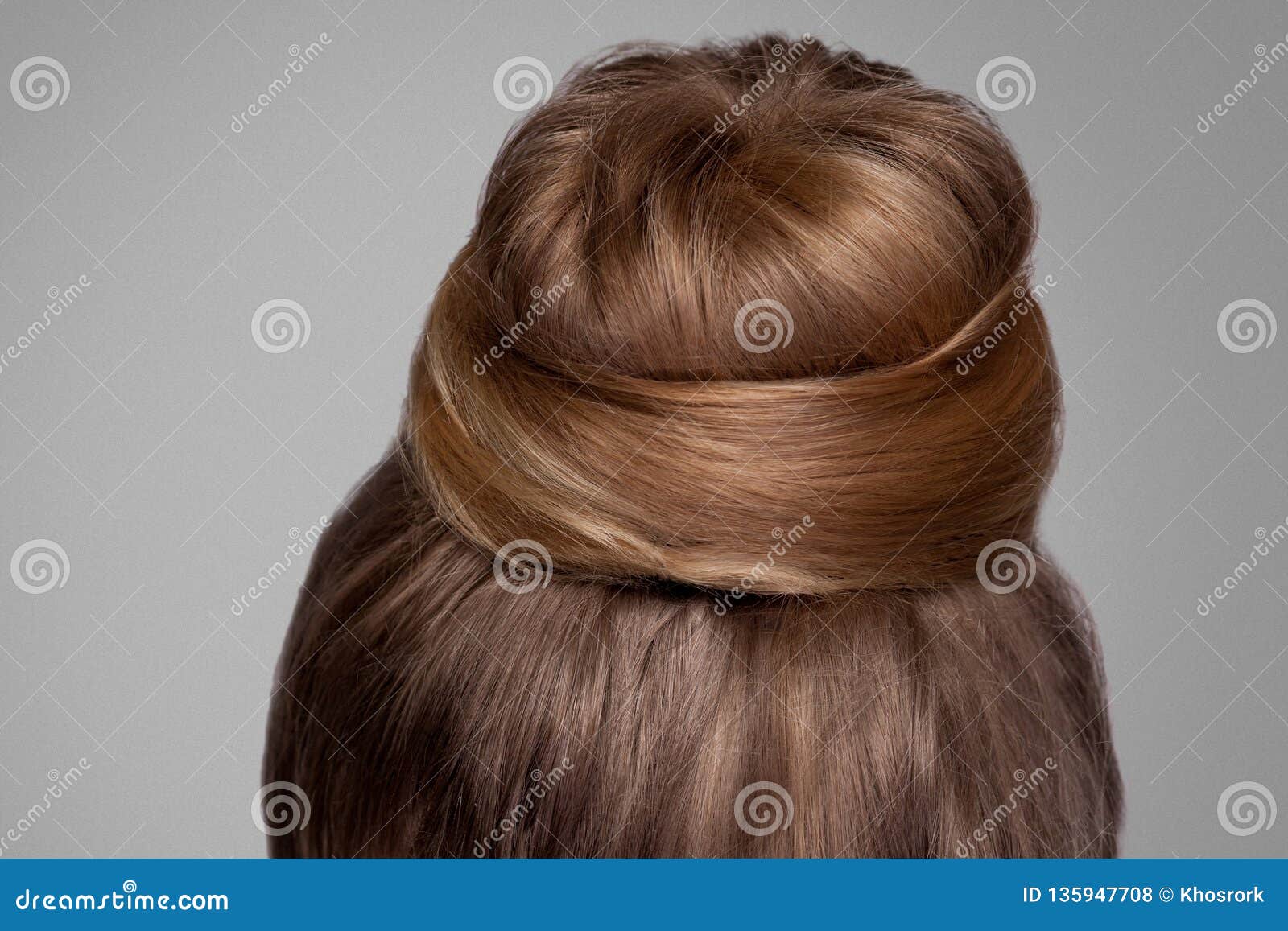 Back Side View Closeup Portrait with Creative Elegant Brown Collected  Hairstyle, Bun Hair Stock Photo - Image of brown, background: 135947708
