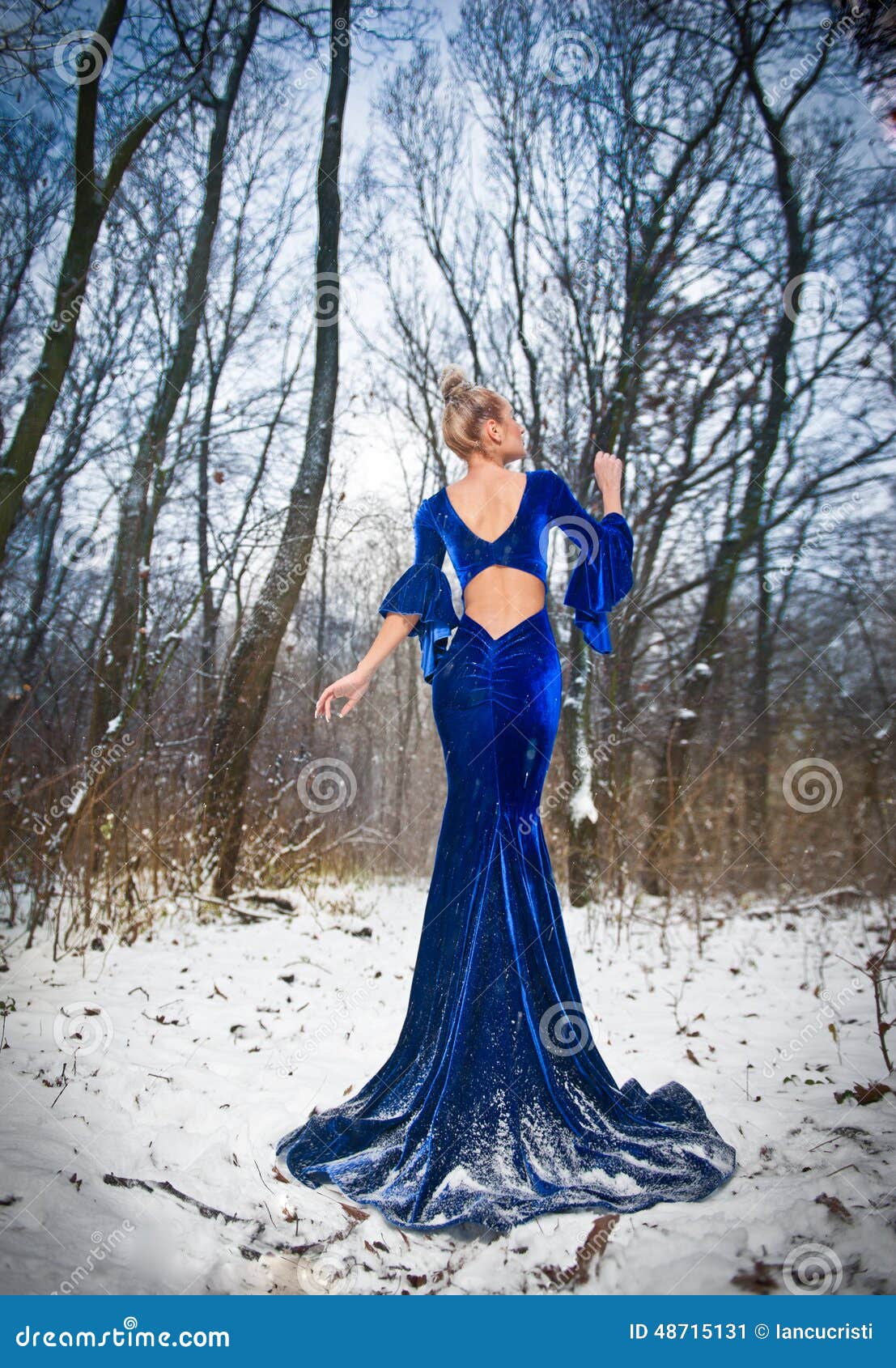 Back Side View Of Lady In Long Blue Dress Posing In Winter Scenery