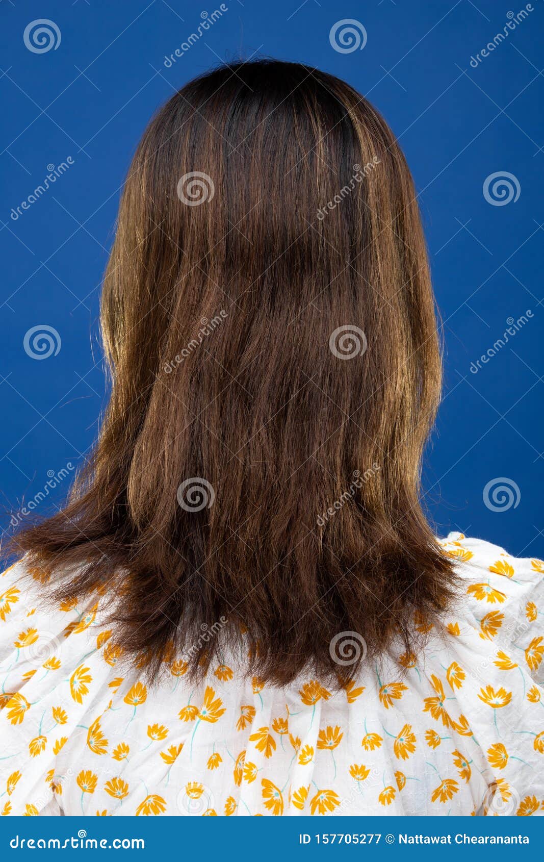 Back Side View of Women To Show Hair Style Stock Image - Image of asian, korea: 157705277 Back Side View of Women To Show Hair Style Stock Image - Image of asian, korea: 157705277