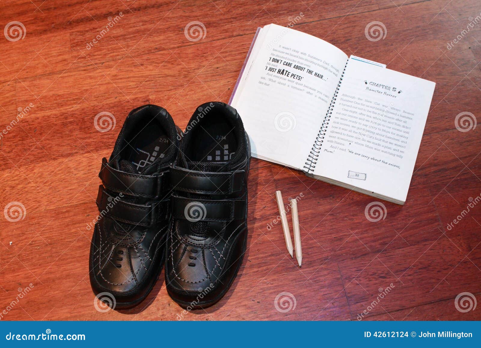 Back to school. School shoes homework and pencils