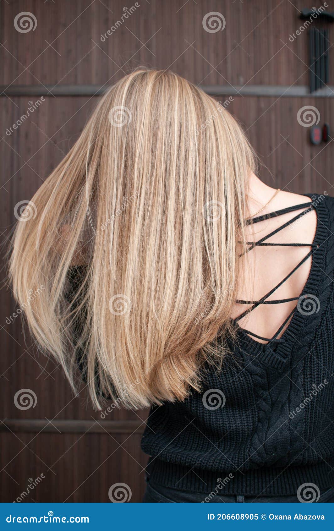 Back View of Blonde Hair with Highlights on Young Woman Stock Image - Image  of beautiful, blonde: 206608905