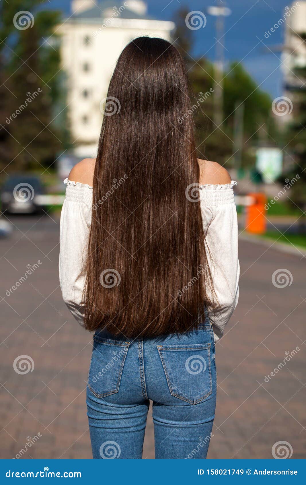 Back View Female Brunette Hair Stock Image - Image of hairstyle, female:  158021749