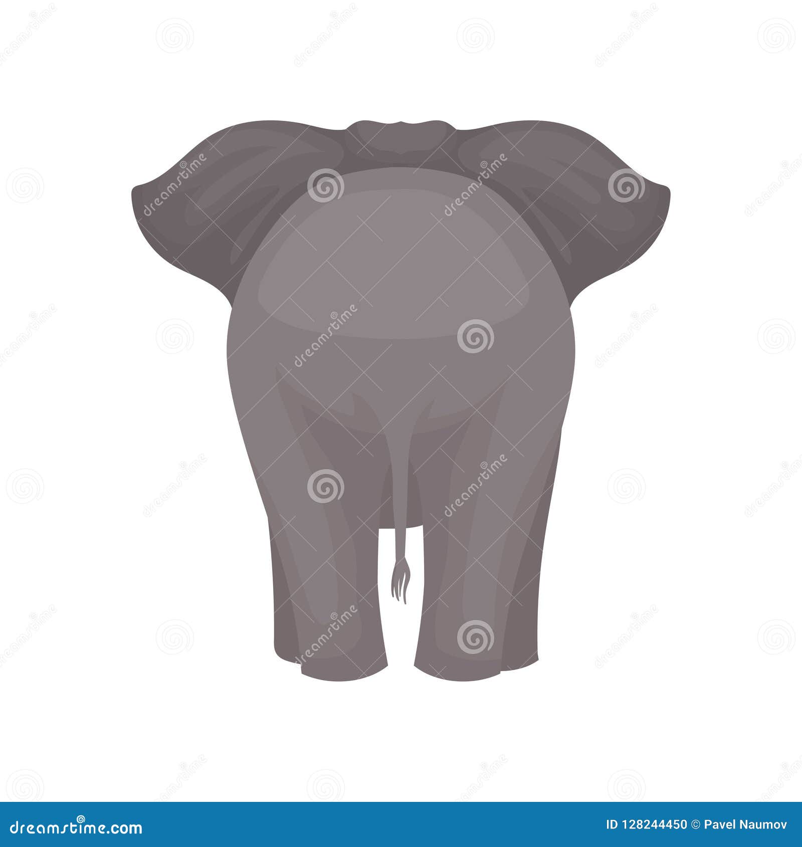 Back View of Standing Elephant. Wild Mammal Animal with Gray Skin