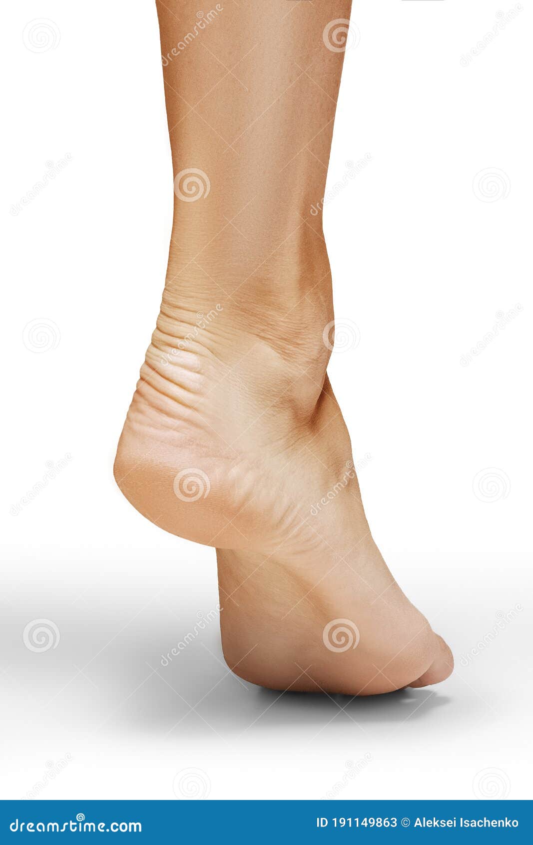 Back View of Woman Foot on White Background, Close-up Stock Image