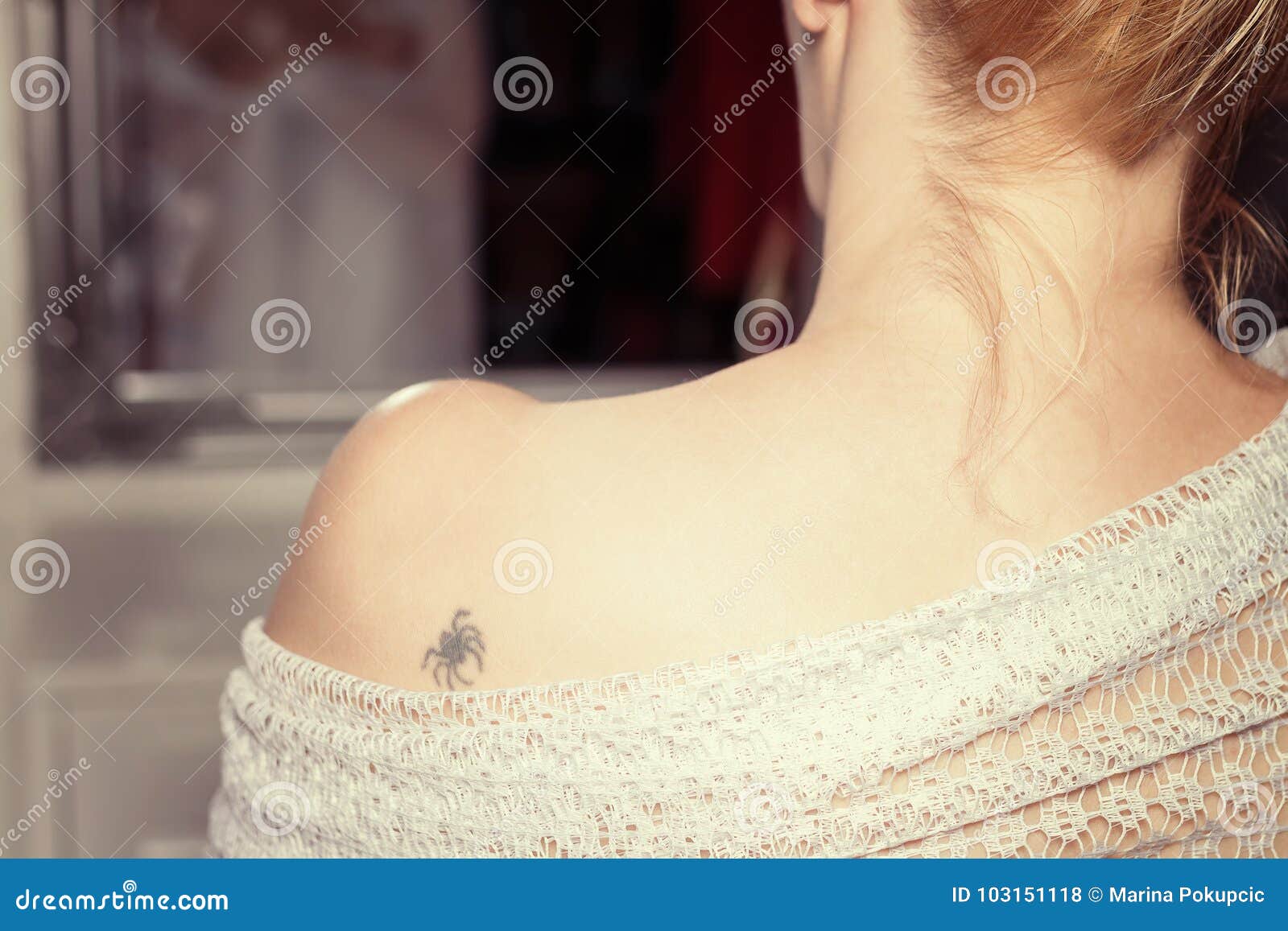 Back View of Womans Shoulder Stock Photo  Image of skin body 103151118
