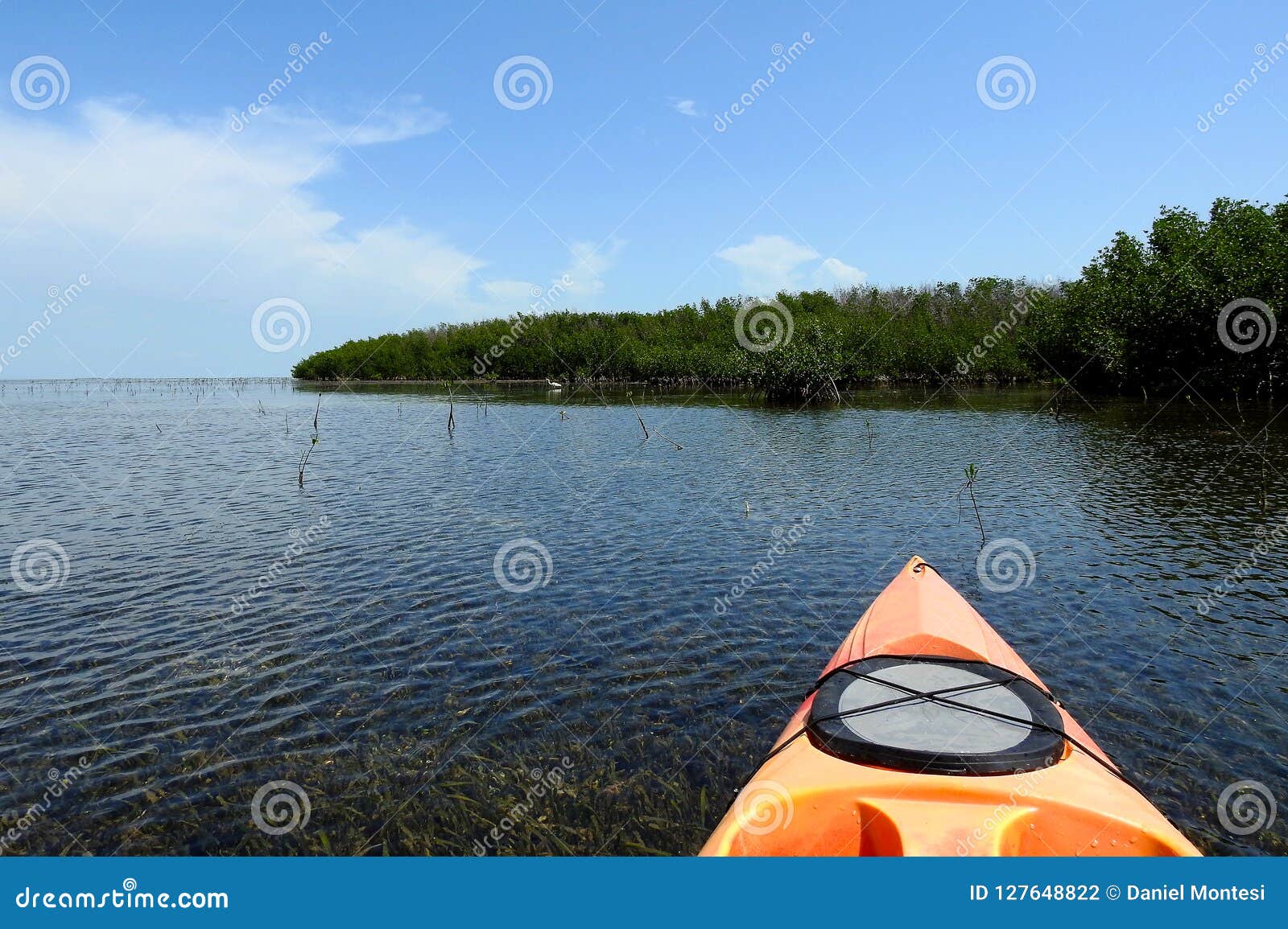 #12 - Full Day: Florida Keys National Marine Sanctuary 