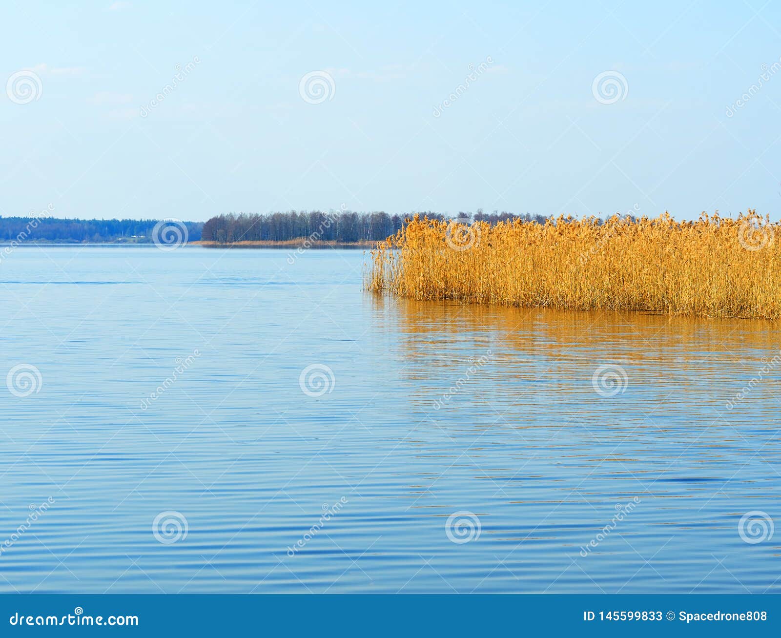 Back-water River Landscape Background Hd Stock Image - Image of background,  creek: 145599833