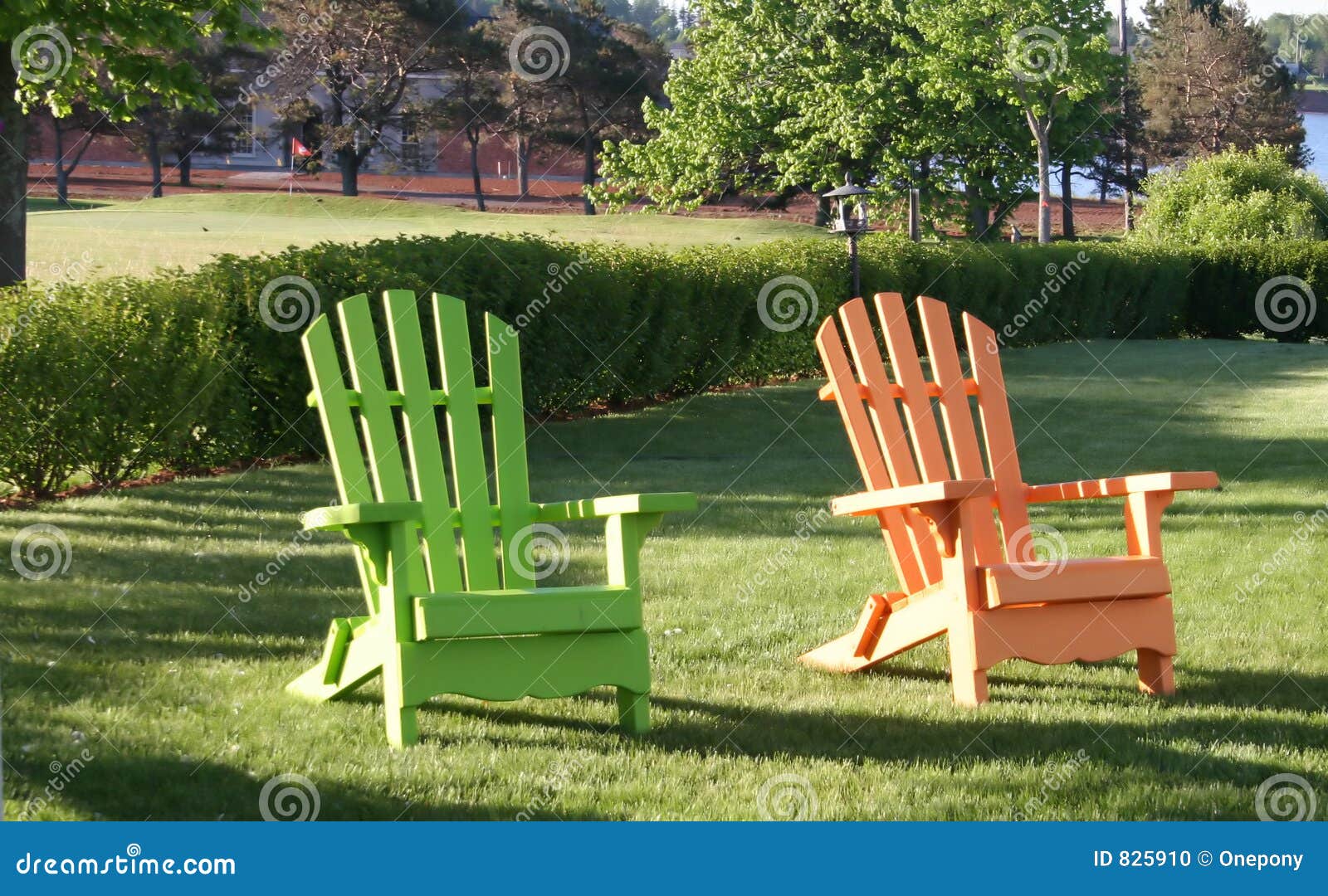 Back Yard Chairs Stock Photo Image Of Garden Chair Hedge 825910