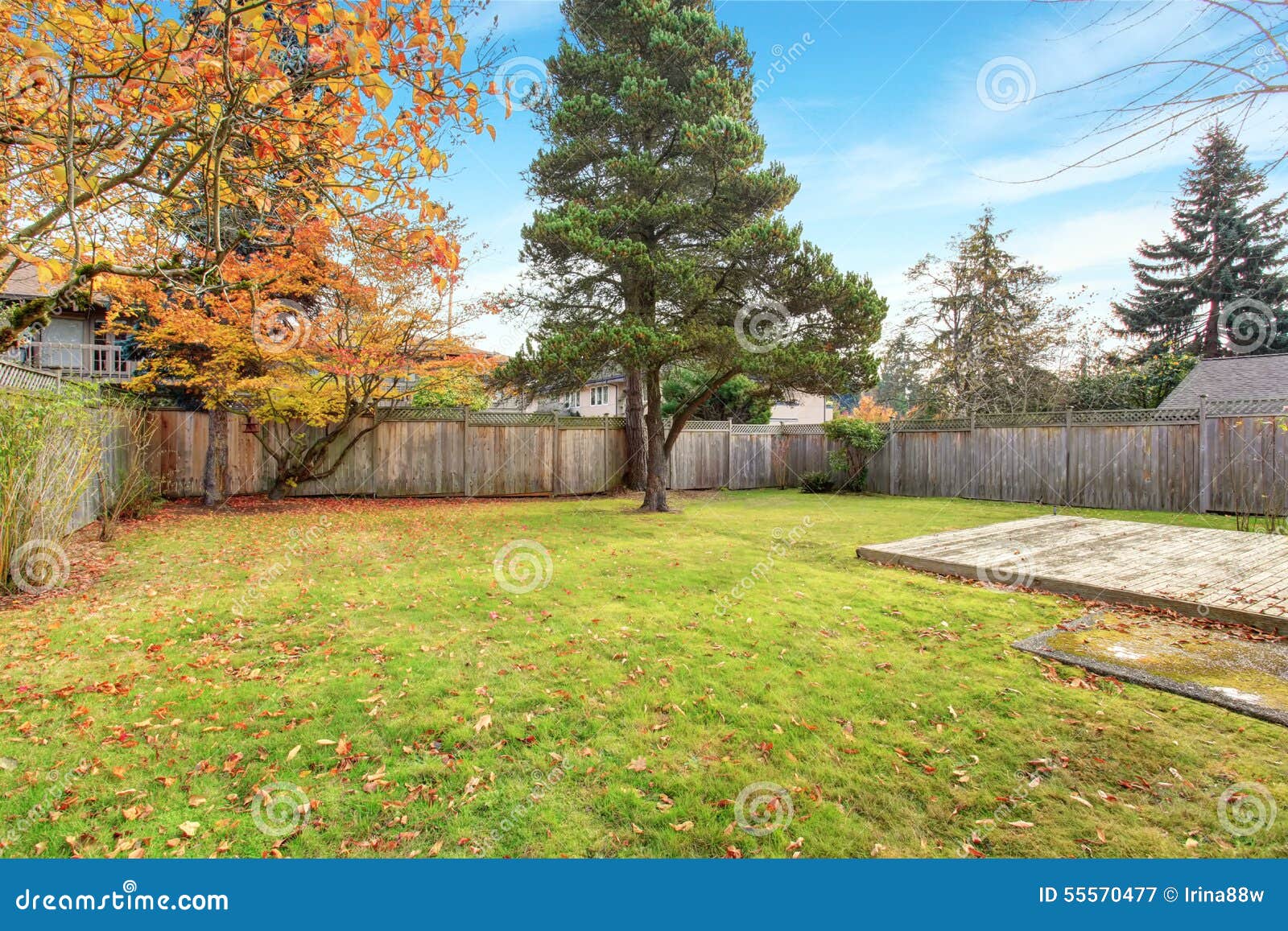 back yard with deck and grass.