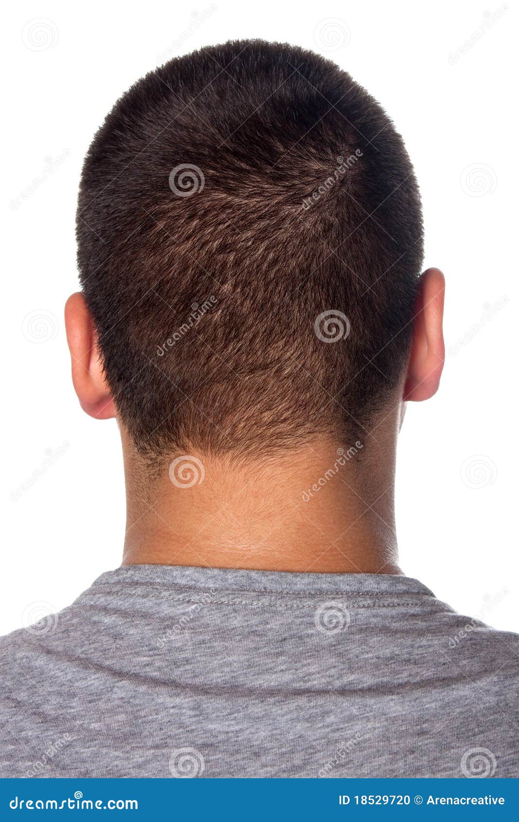 161 Back Head Mans Photos Free Royalty Free Stock Photos From Dreamstime