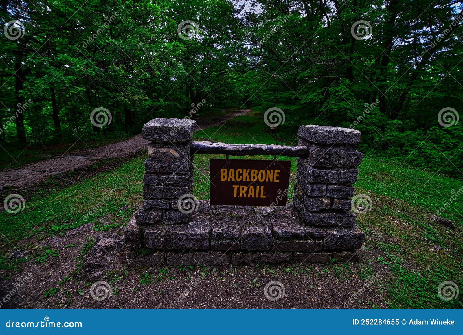 Escape to the Heart of Iowa: Adventure Awaits at Backbone State Park