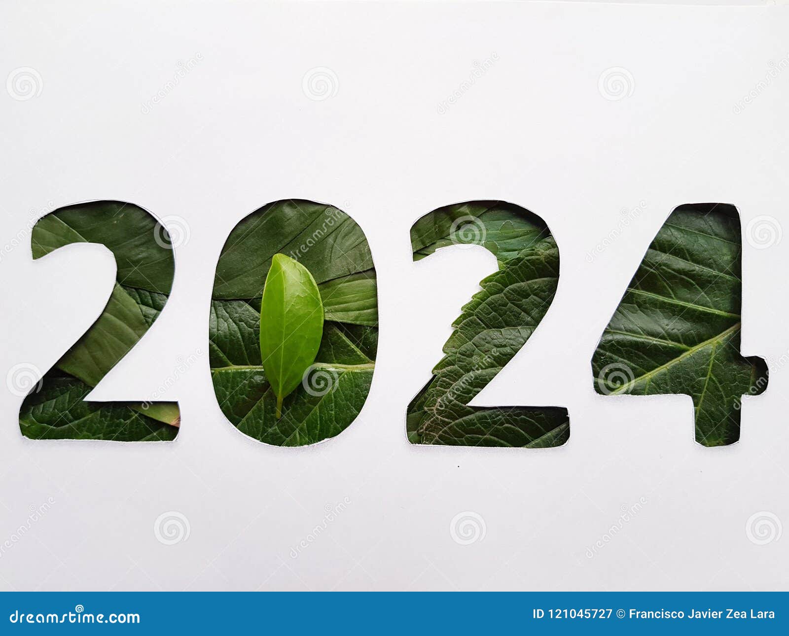 Number 2024 with Green Leaf Texture and White Background Stock Image