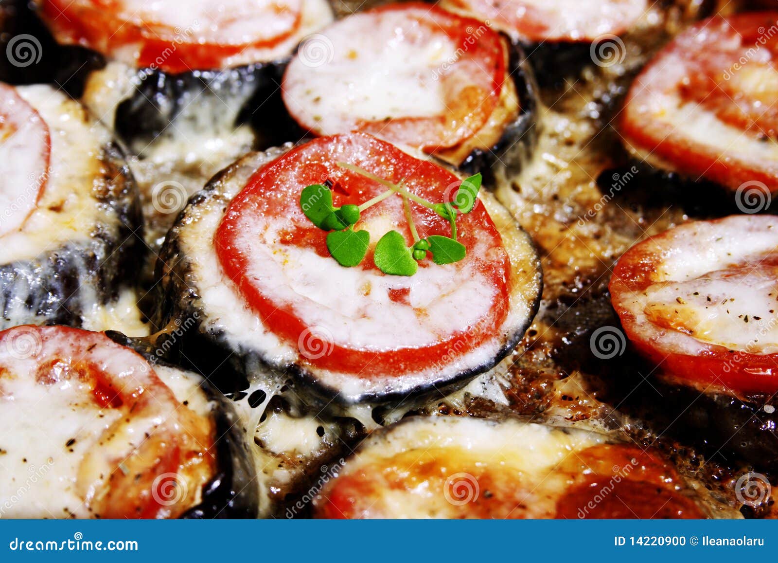 Backed Eggplant, Mozzarella, Tomatoes and Basil Stock Photo Image of