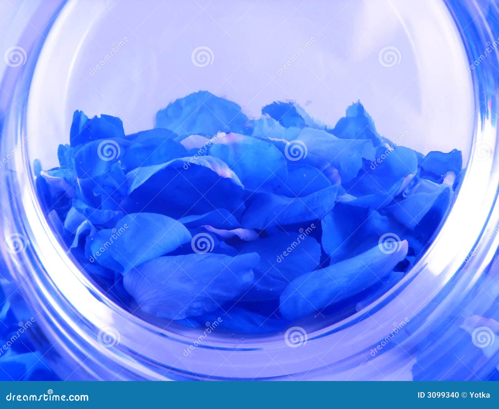 108,796 Roses Petals Stock Photos - Free & Royalty-Free Stock