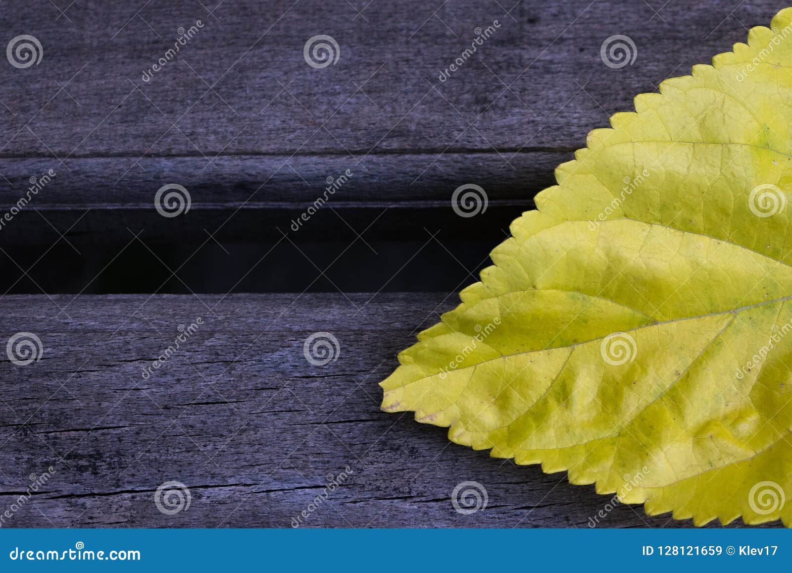 Background Abstract Yellow Leaf Wallpaper Stock Image - Image of border