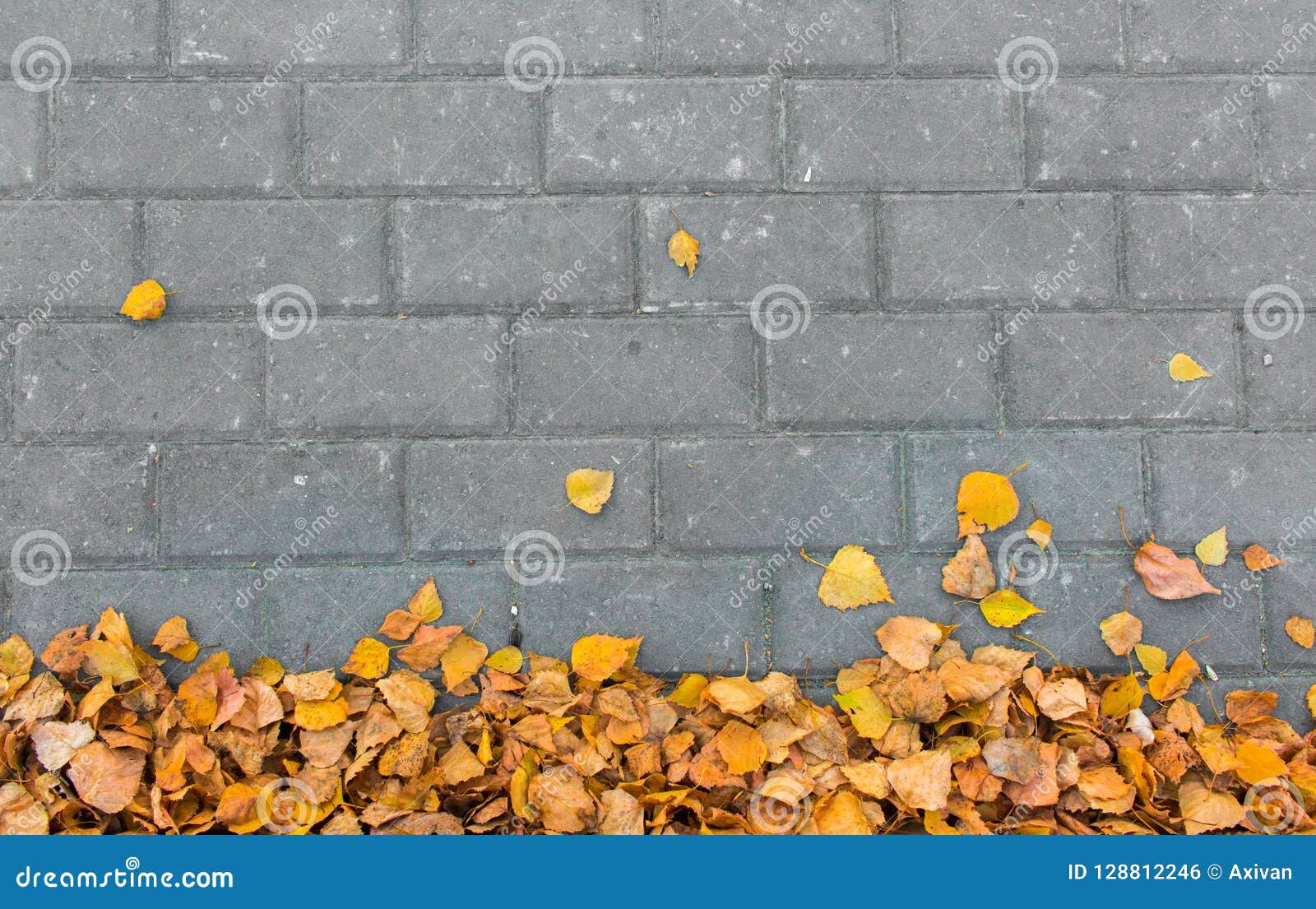 Background Autumn Leaves On Paving Stone Bricks Stock Photo Image Of