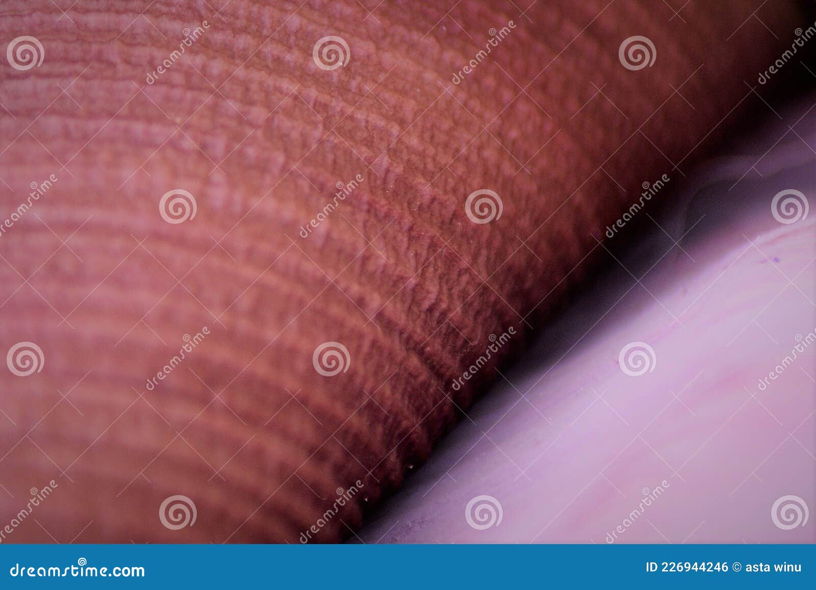 background of banana midrib