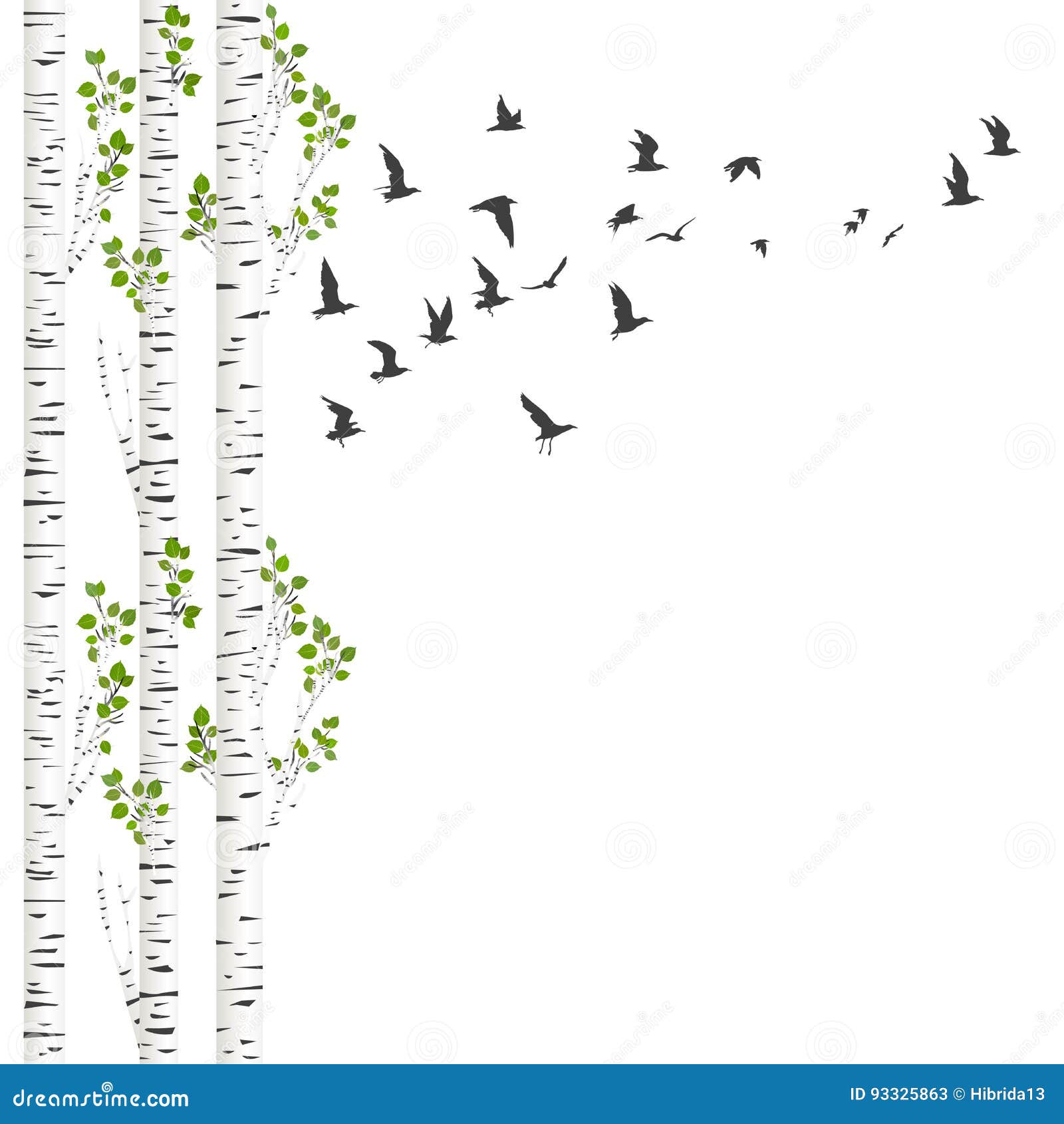 background with birch trees and birds