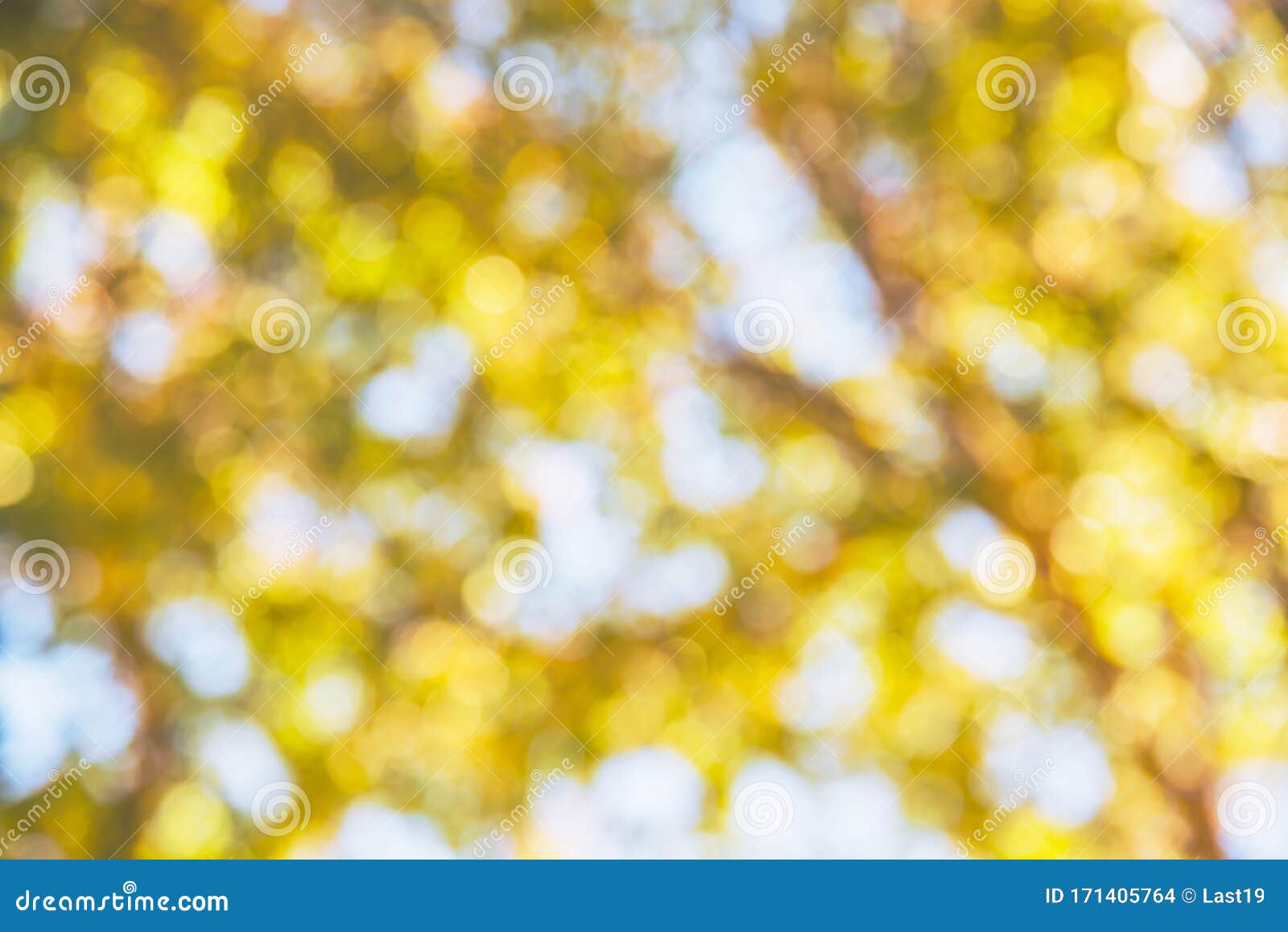 Background Blur Natural and Light Background in the Park. Yellow Tree Maple  Bokeh Stock Photo - Image of park, blurry: 171405764