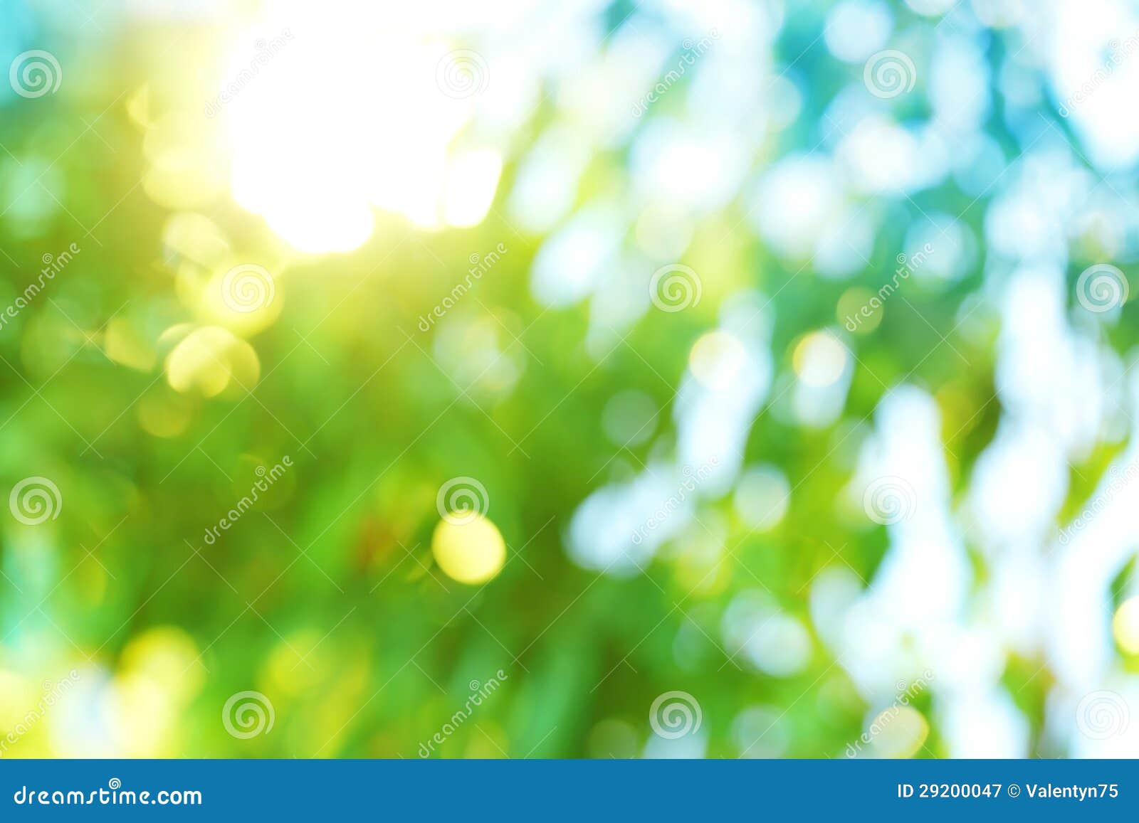 Background Blur Of Nature Stock Image Image Of Design 29200047