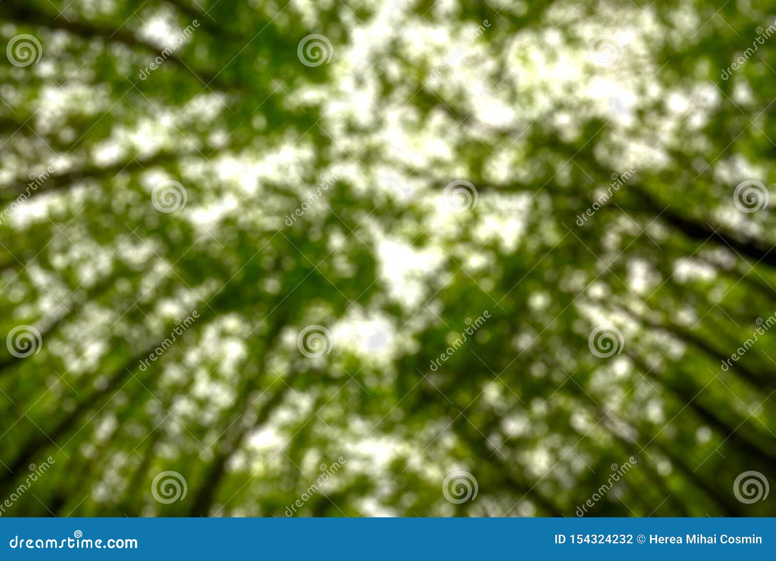 background blurred from trees seen from below, wide angle