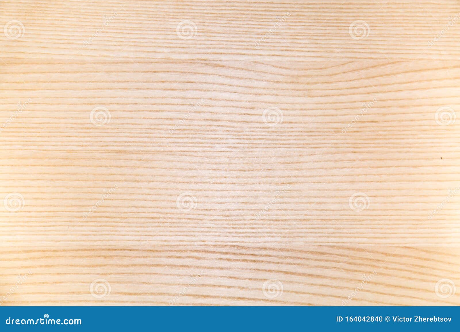 Background Boards Whitewashed Oak Veneer with a Bright Expressive