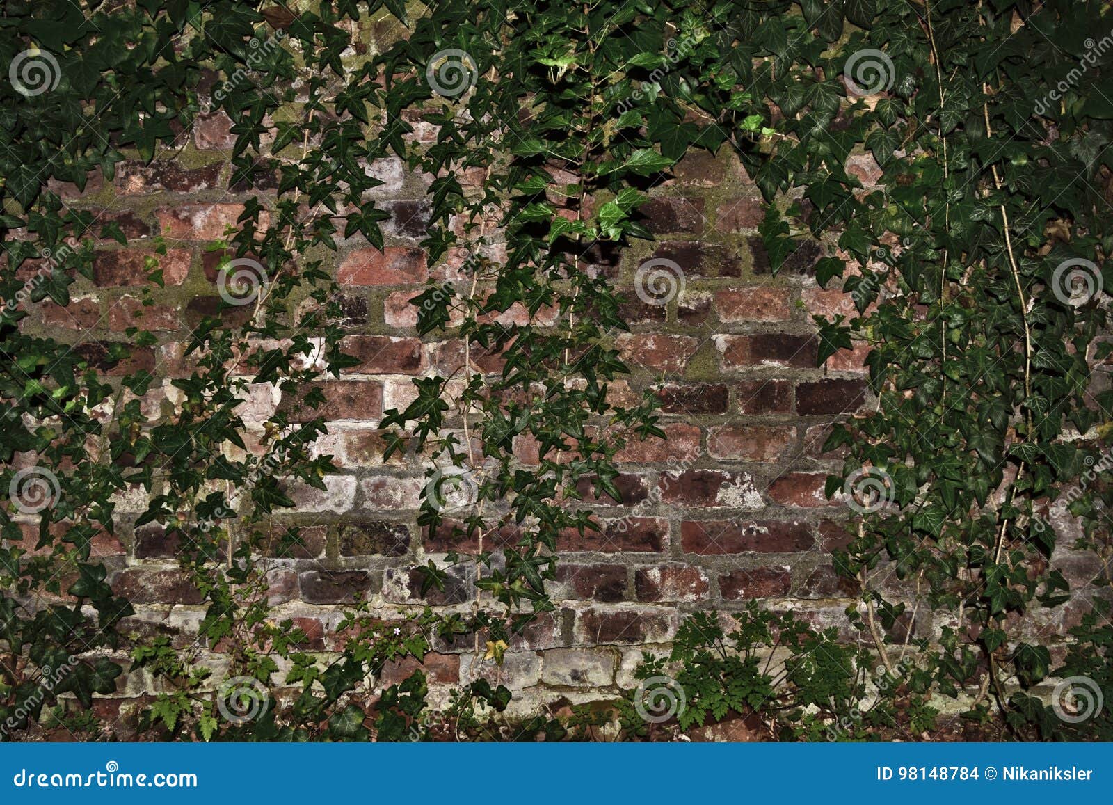 Featured image of post Dark Green Brick Background : Dark green wavy background design.