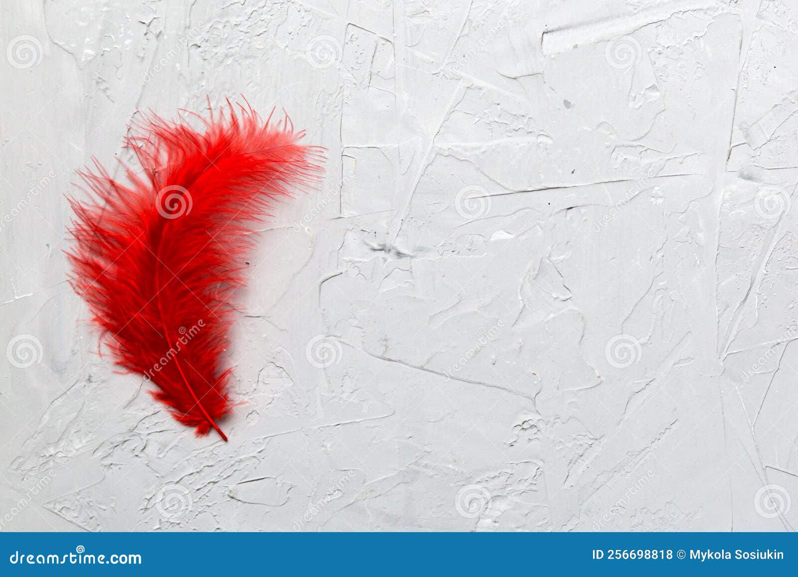 Background of Brightly Colored Dyed Bird Feathers on Colored Background