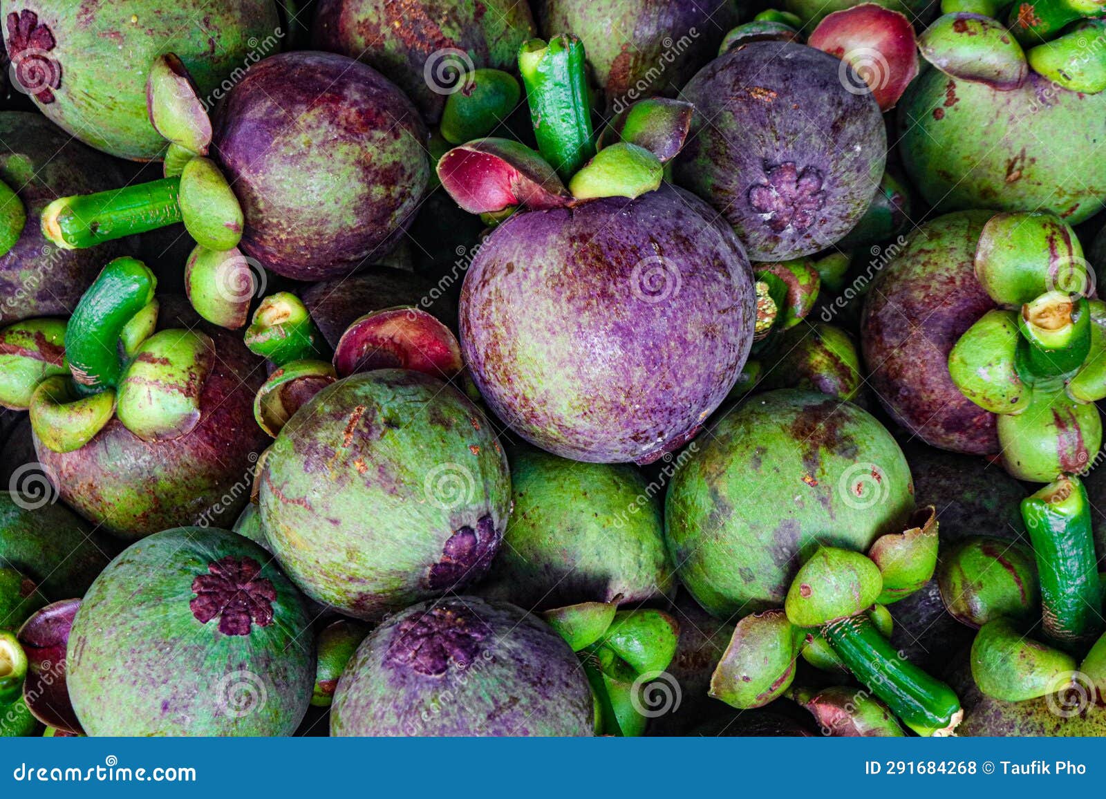 Background of Collection of Ripe Mangosteen Stock Photo Image of